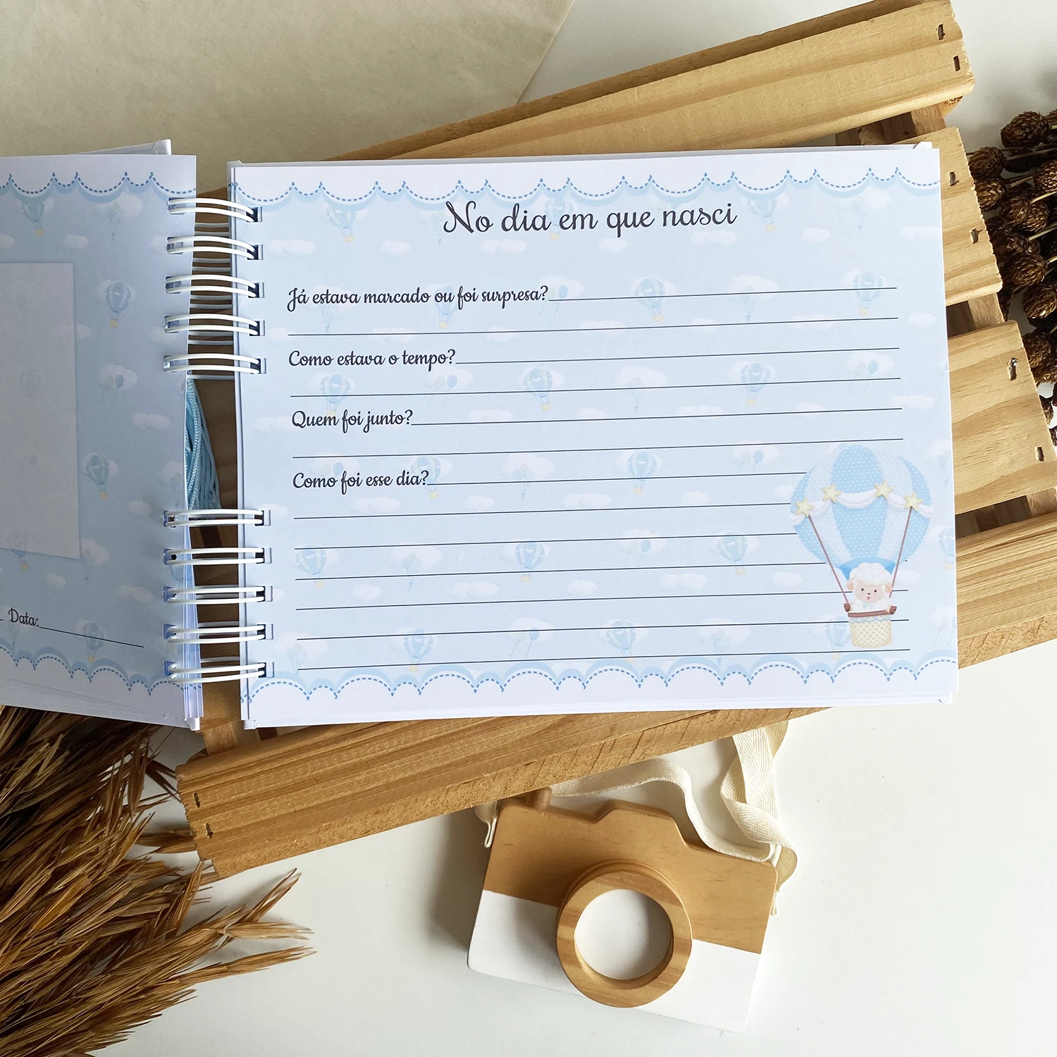 livro_do_bebe_ovelhinha_baloeira (7)