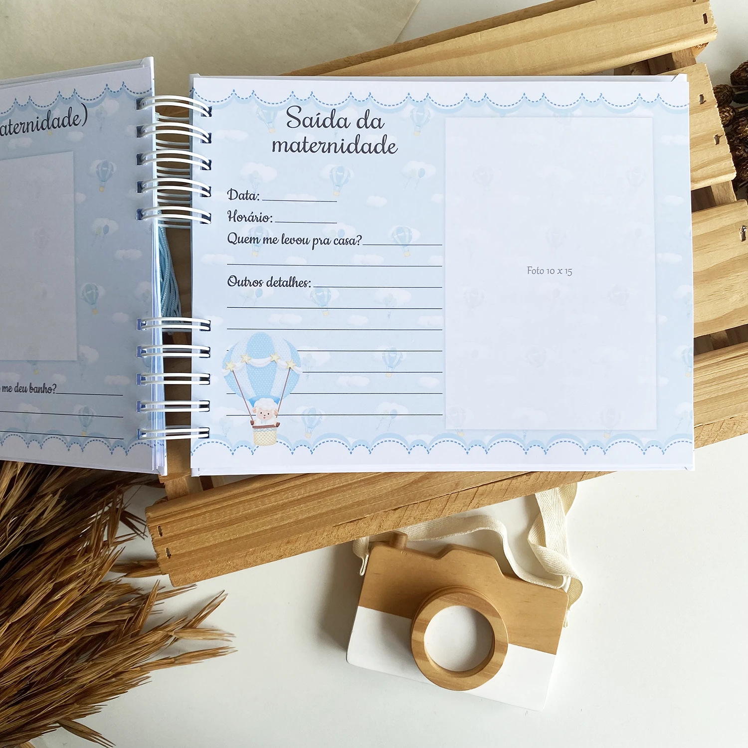 livro_do_bebe_ovelhinha_baloeira (9)