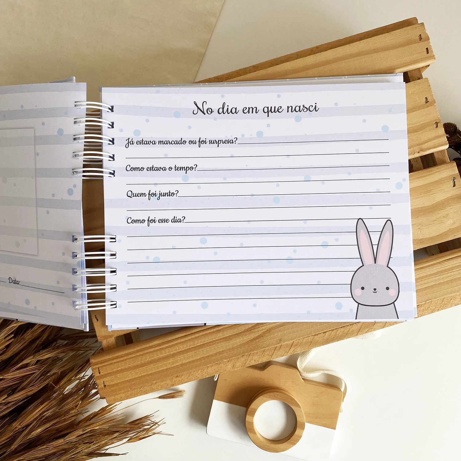 livro_do_bebe_ursinho_2 (14)