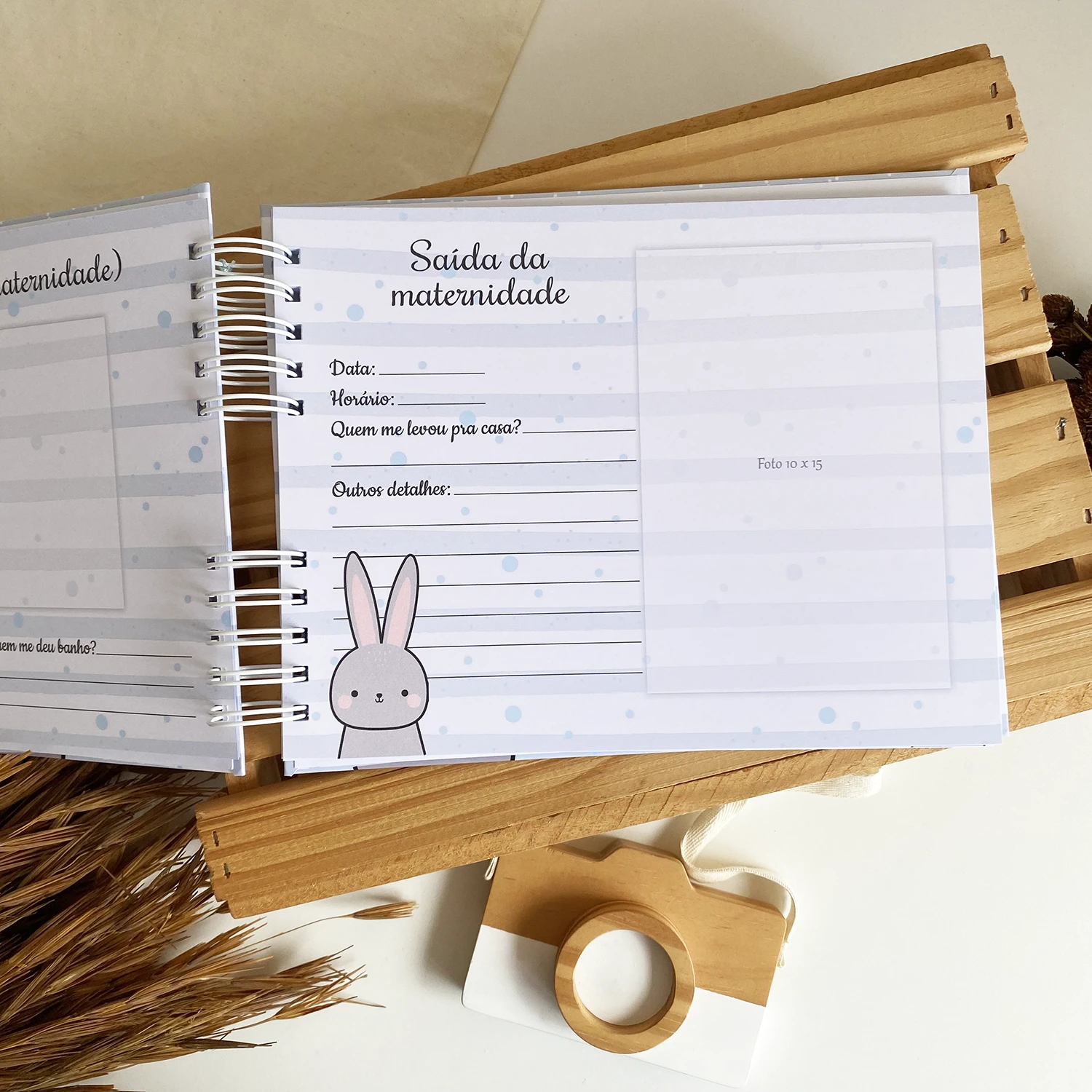 livro_do_bebe_ursinho_2 (16)