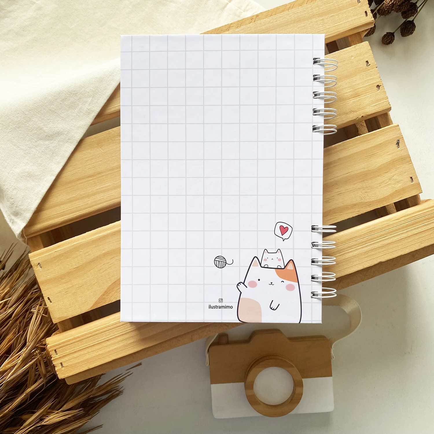 caderneta_de_saude_gatinhas_minimalista (2)