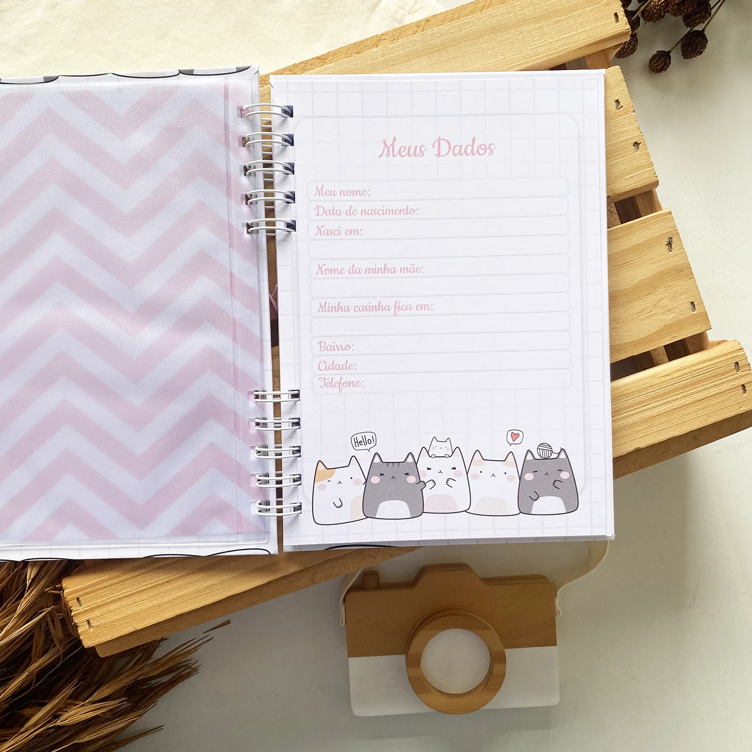 caderneta_de_saude_gatinhas_minimalista (4)