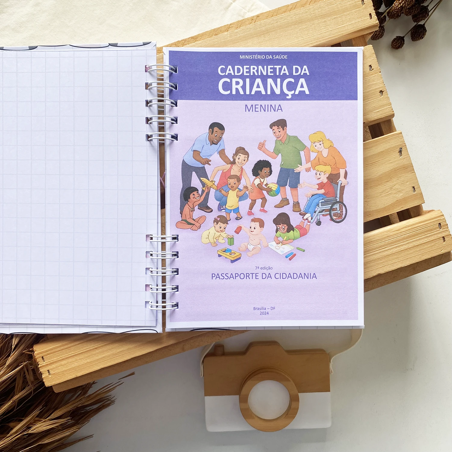 caderneta_de_saude_gatinhas_minimalista (5)