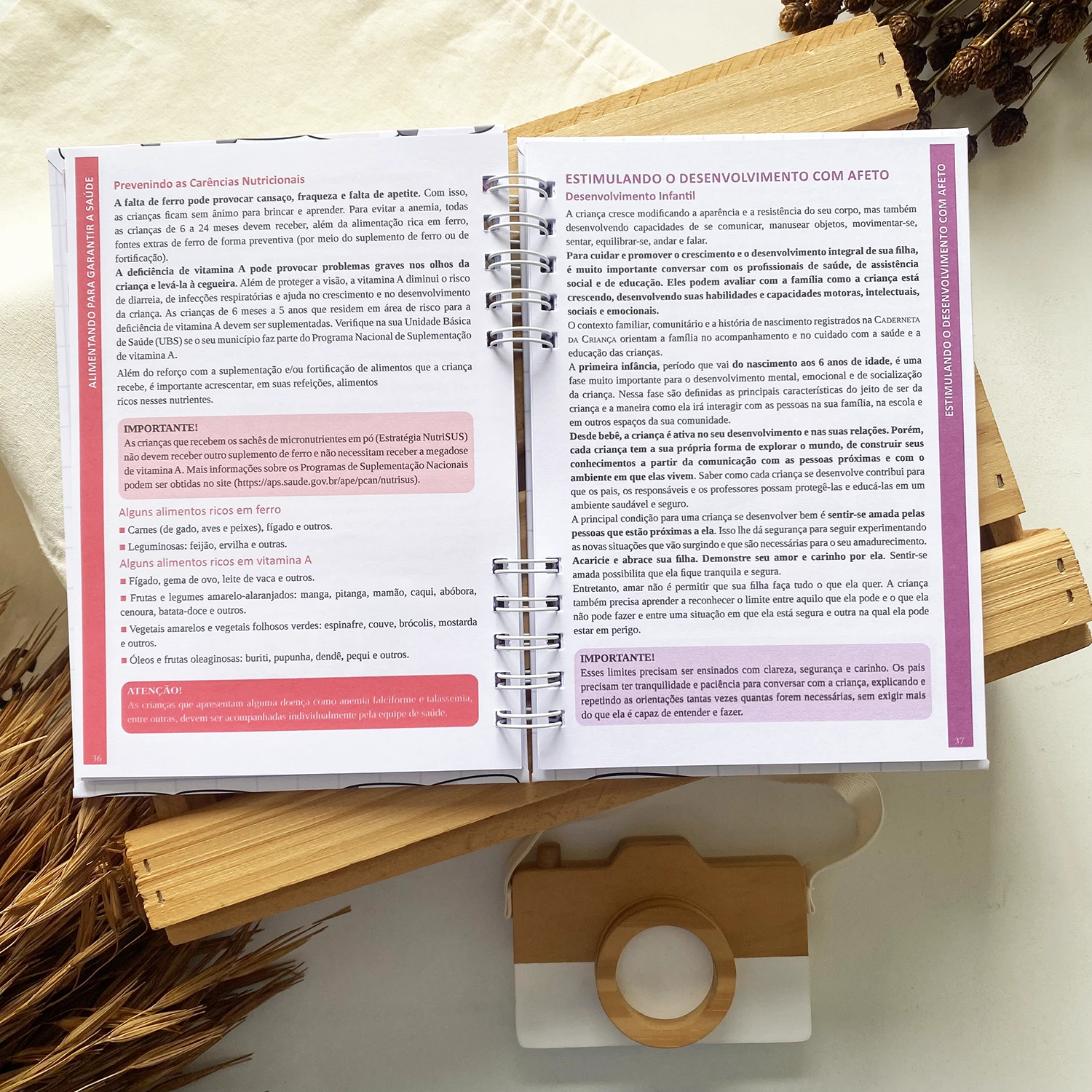 caderneta_de_saude_gatinhas_minimalista (6)