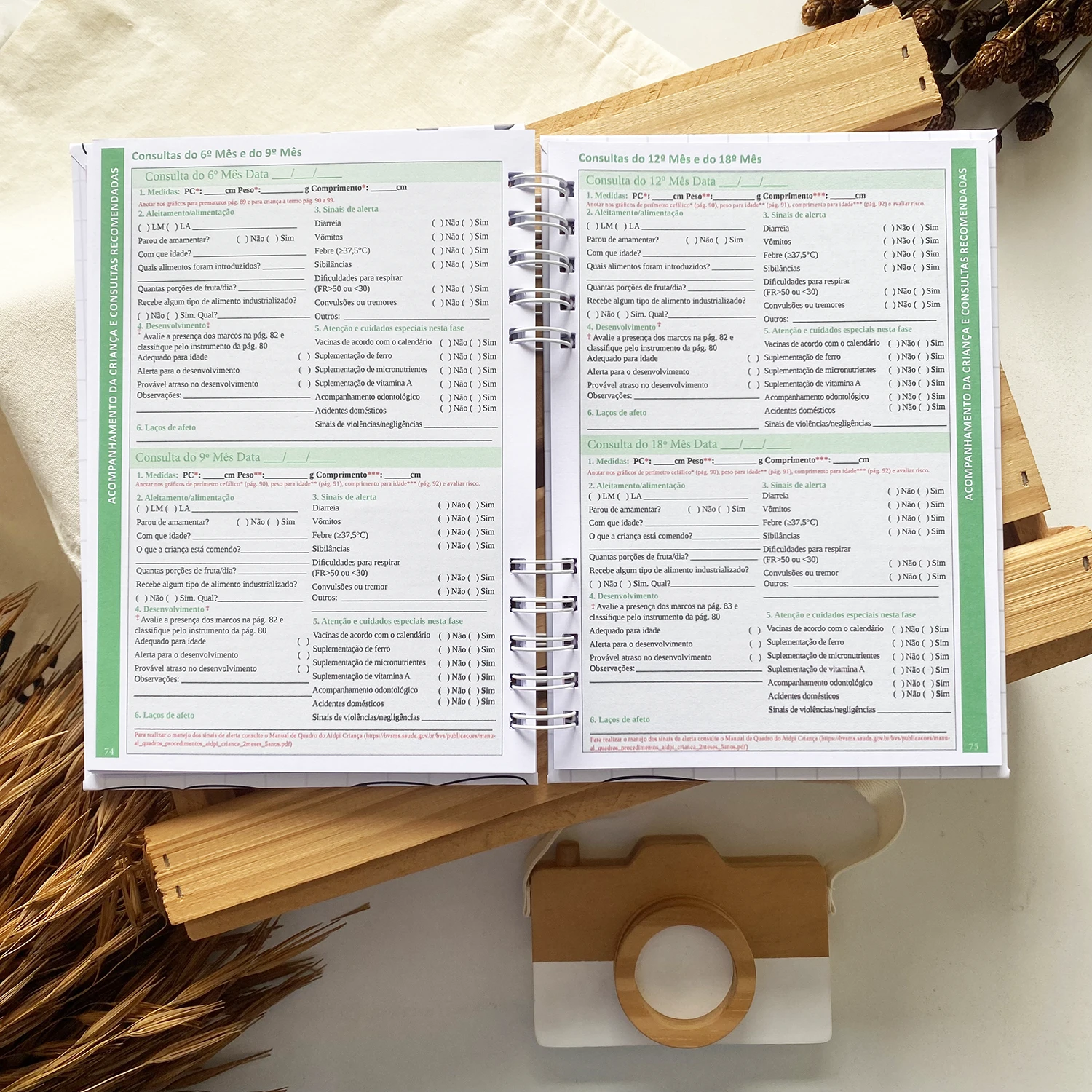 caderneta_de_saude_gatinhas_minimalista (7)