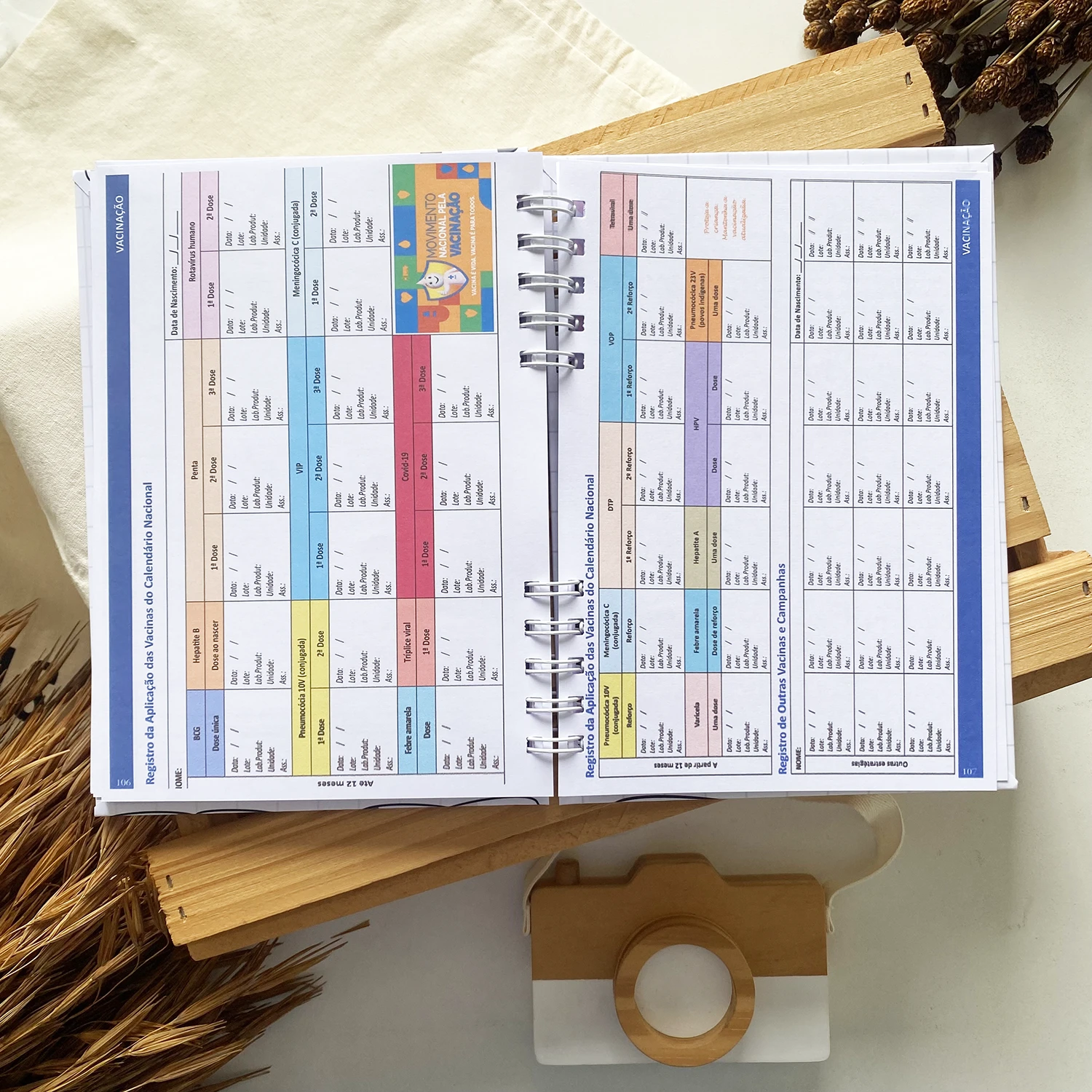caderneta_de_saude_gatinhas_minimalista (8)