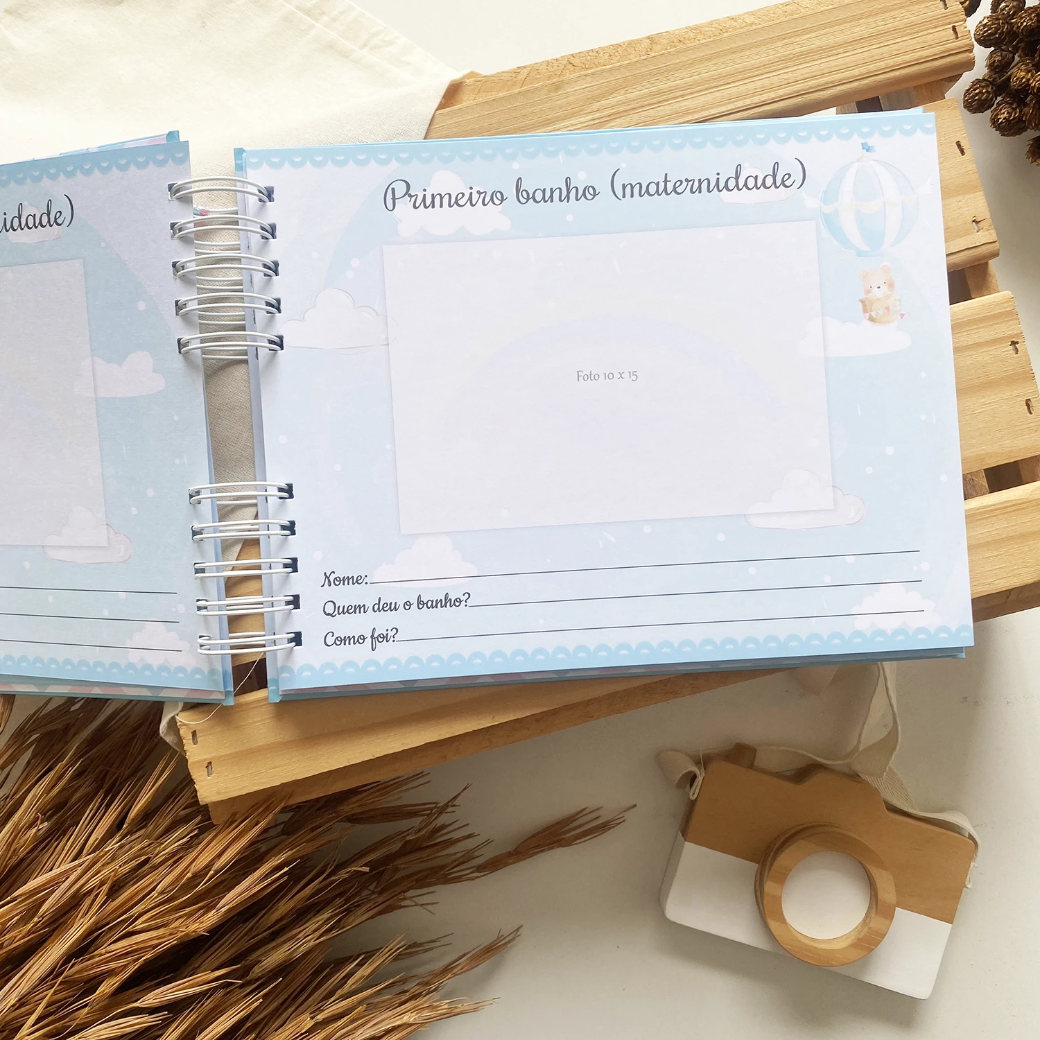 livro_dos_gemeos_ursinhos_baloeiros_1 (10)