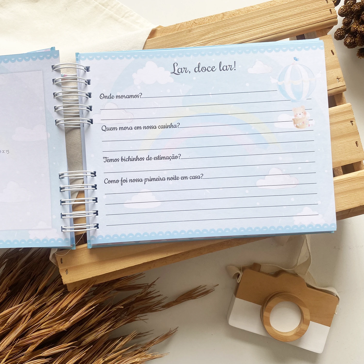 livro_dos_gemeos_ursinhos_baloeiros_1 (11)