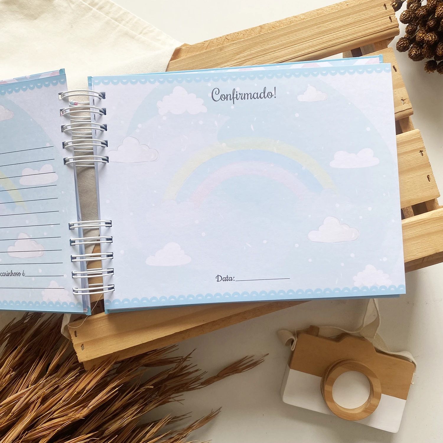 livro_dos_gemeos_ursinhos_baloeiros_1 (4)