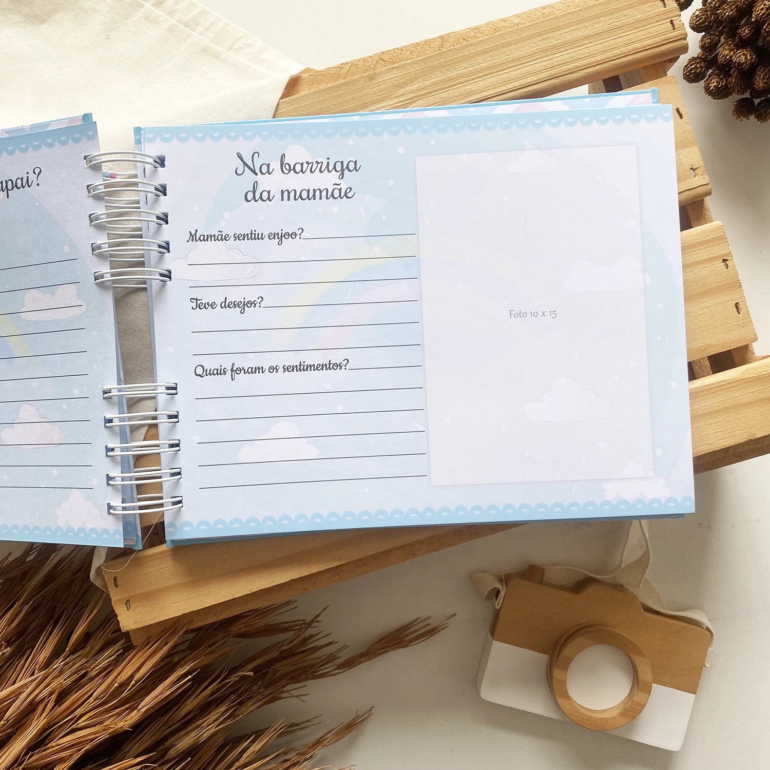 livro_dos_gemeos_ursinhos_baloeiros_1 (5)