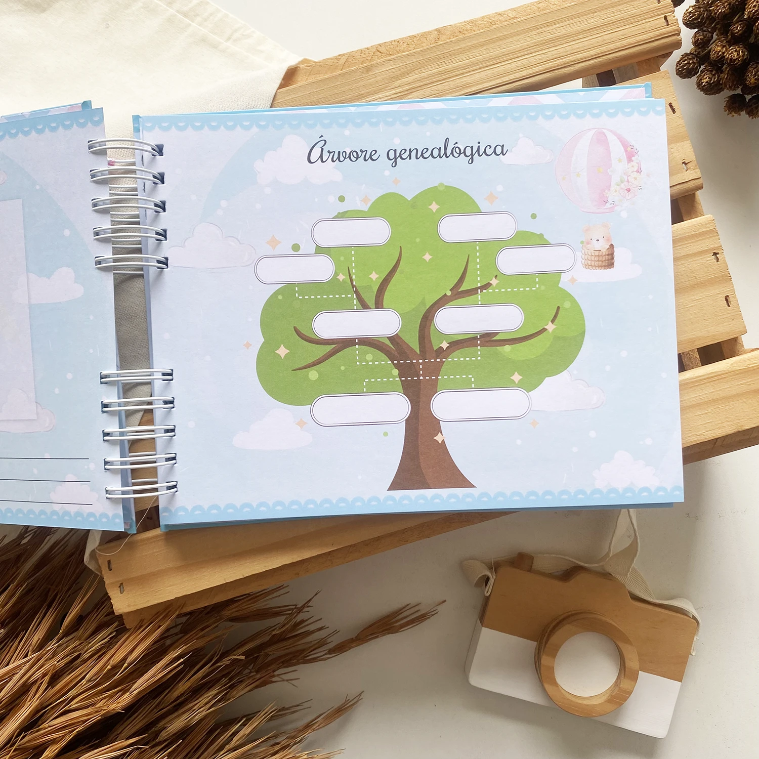 livro_dos_gemeos_ursinhos_baloeiros_1 (6)