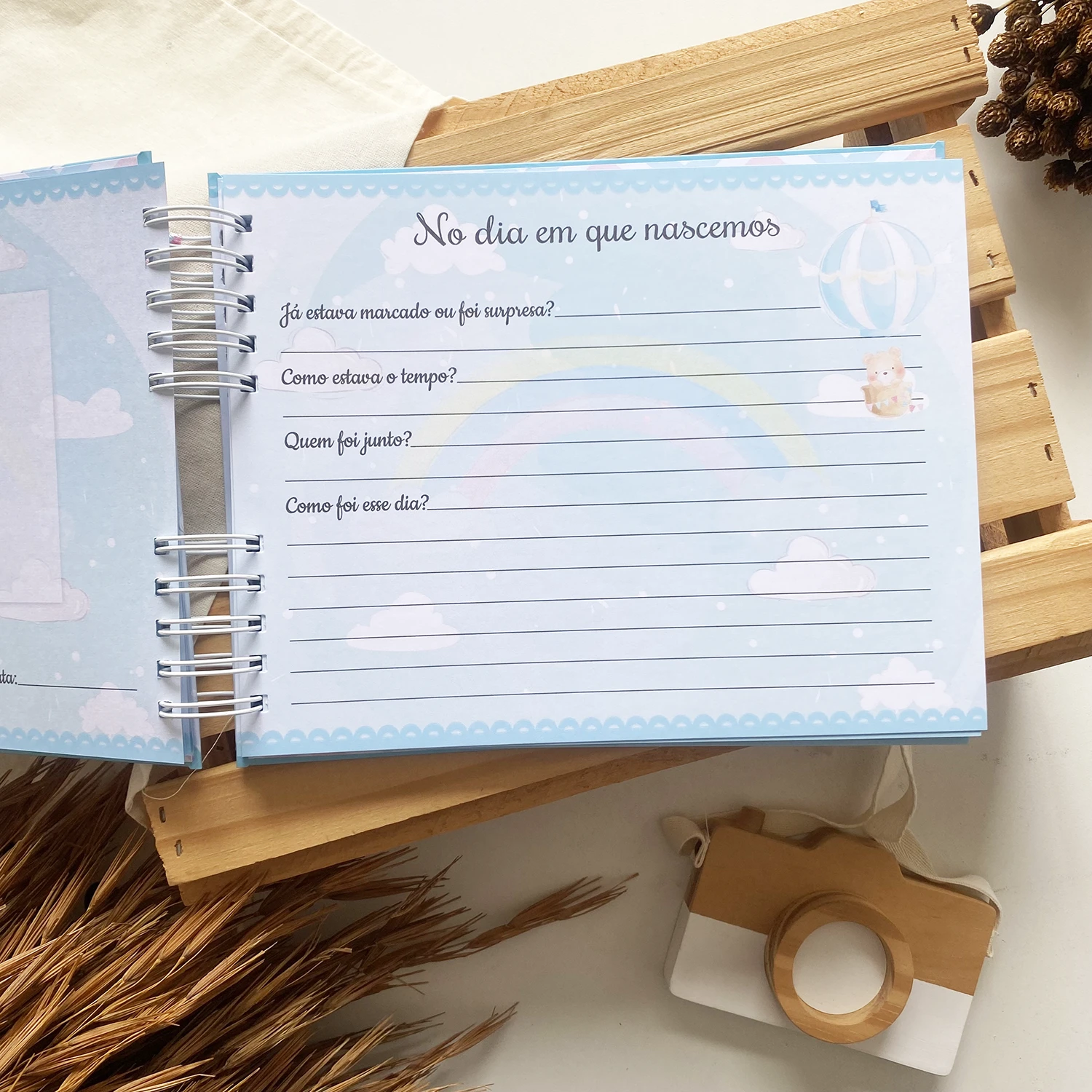 livro_dos_gemeos_ursinhos_baloeiros_1 (7)