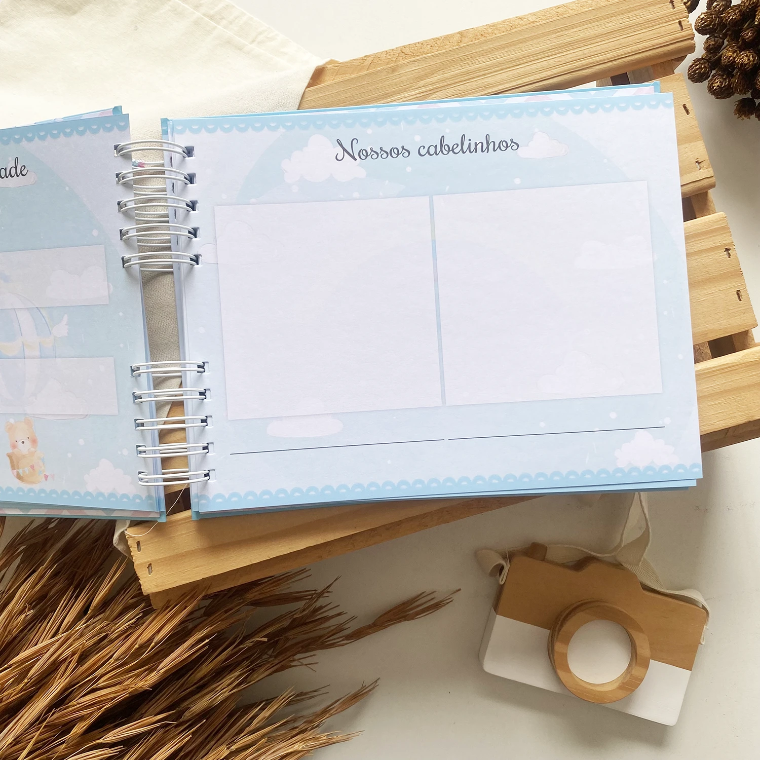 livro_dos_gemeos_ursinhos_baloeiros_1 (9)