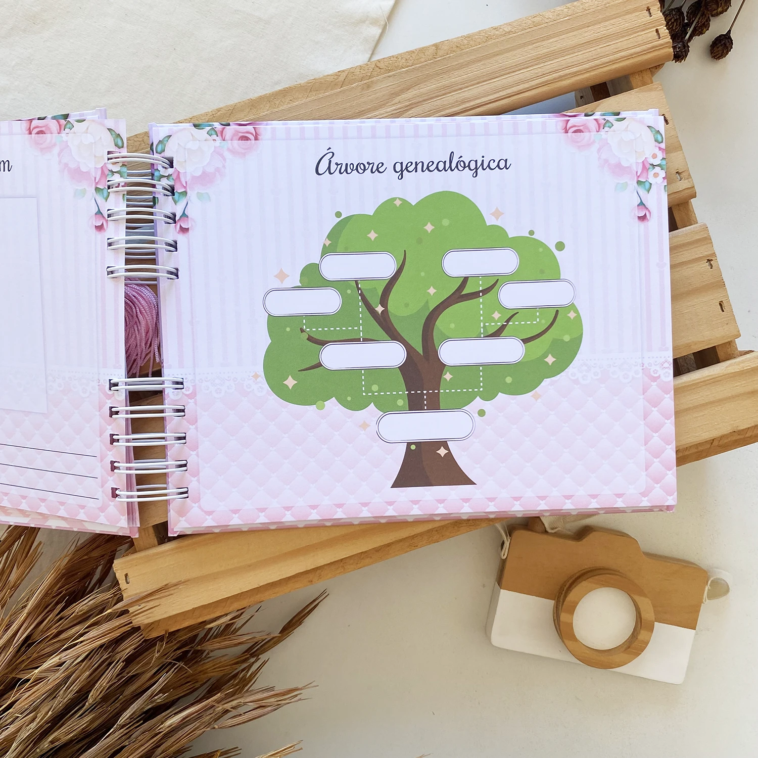 livro_do_bebe_bailarina_4 (6)