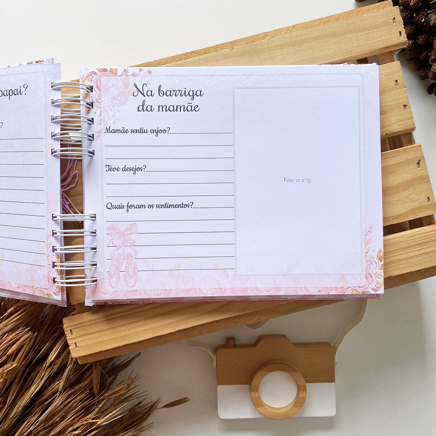 livro_do_bebe_bailarina_5 (5)