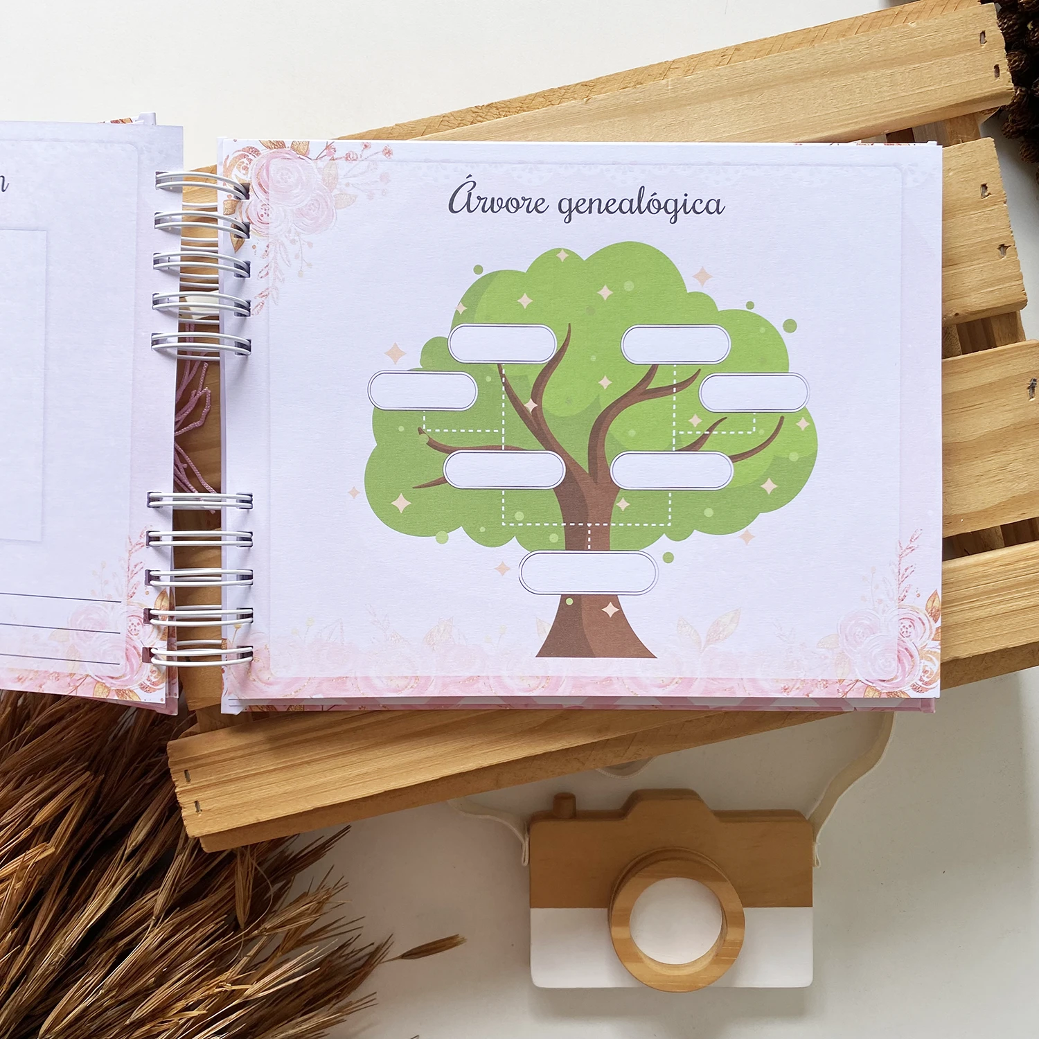 livro_do_bebe_bailarina_5 (6)