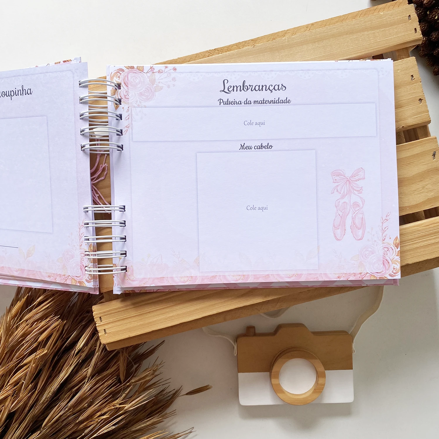 livro_do_bebe_bailarina_5 (7)