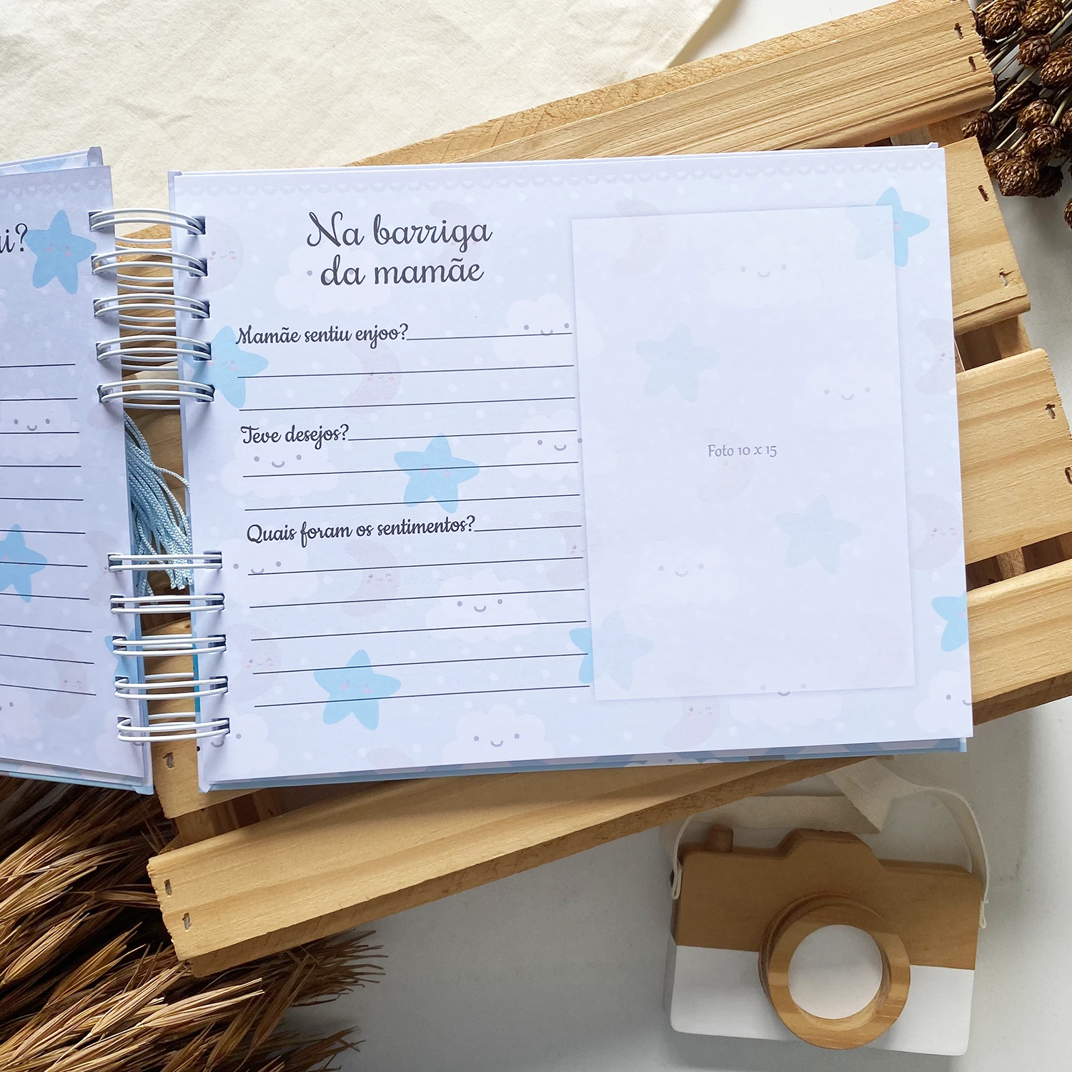 livro_do_bebe_nuvem_lua_estrela_3 (5)