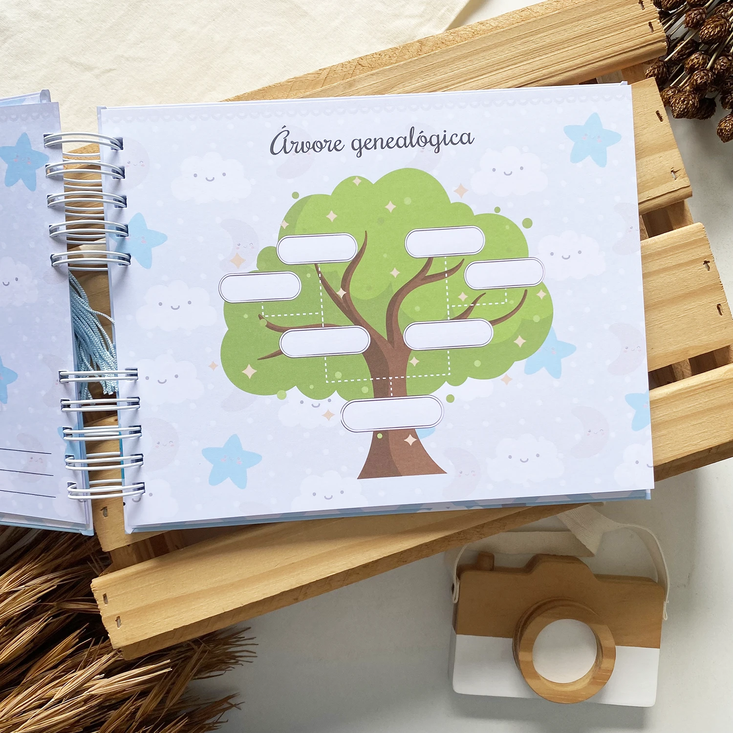 livro_do_bebe_nuvem_lua_estrela_3 (6)