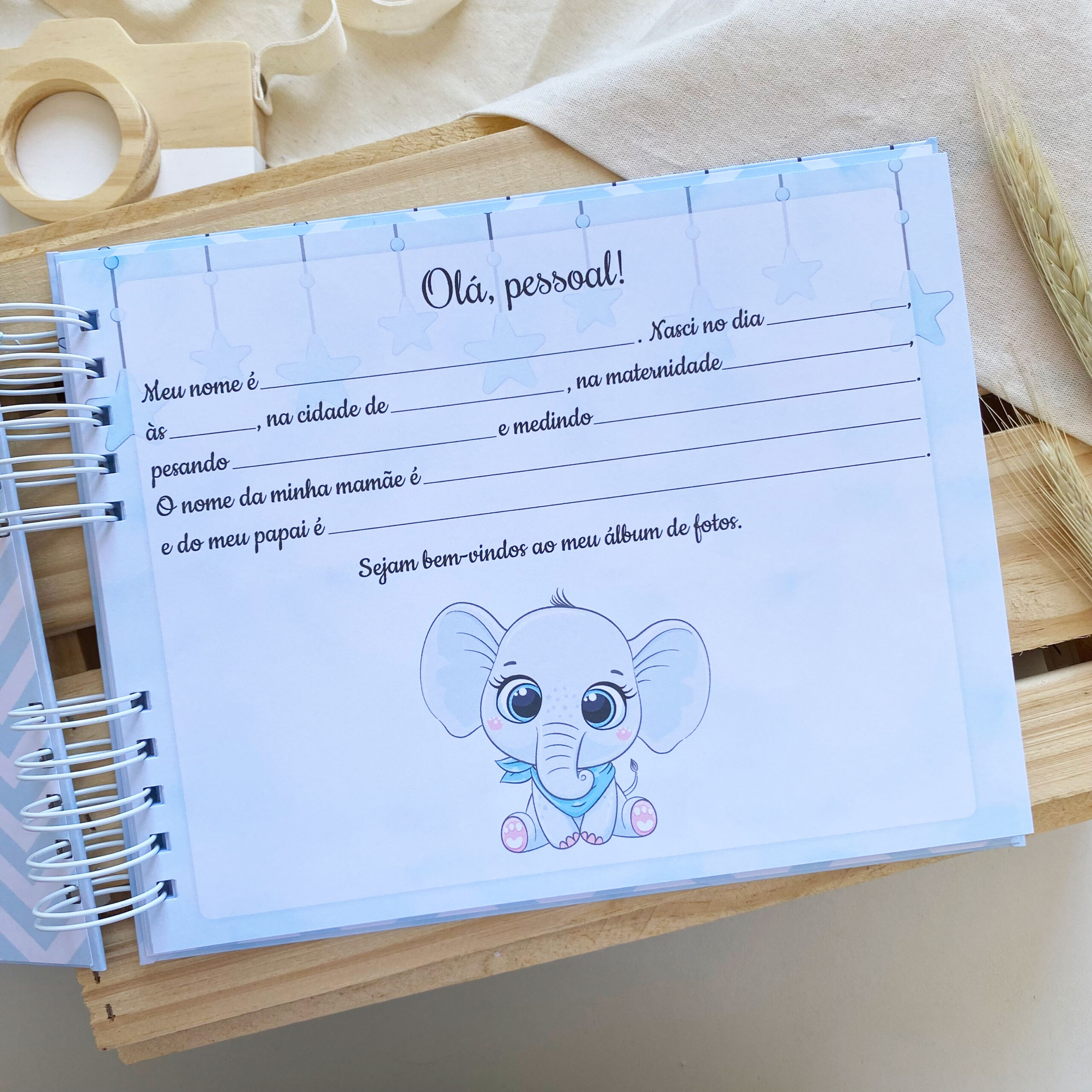 album_de_fotos_elefantinho_3 (3)