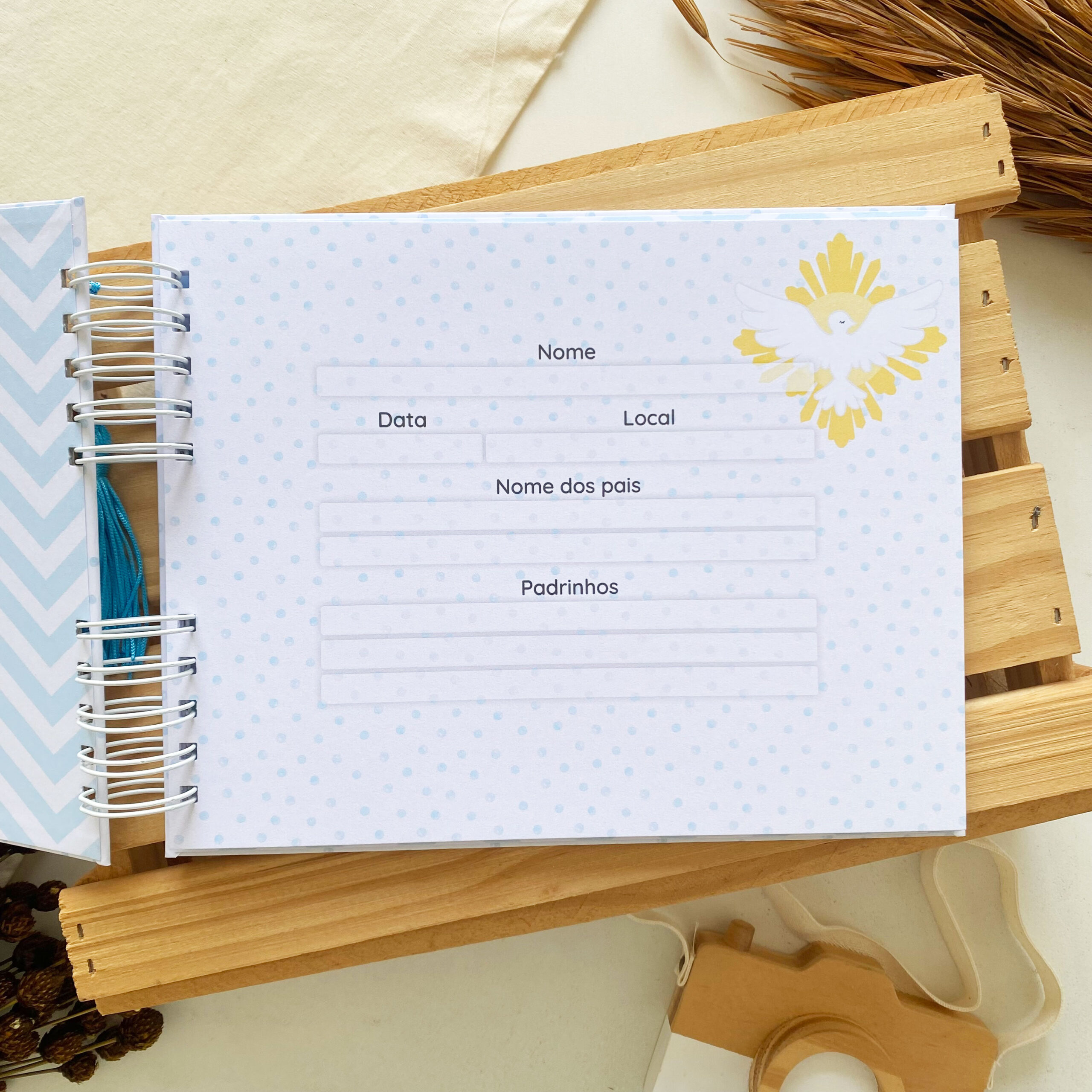 album_de_batizado_espirito_santo (3)