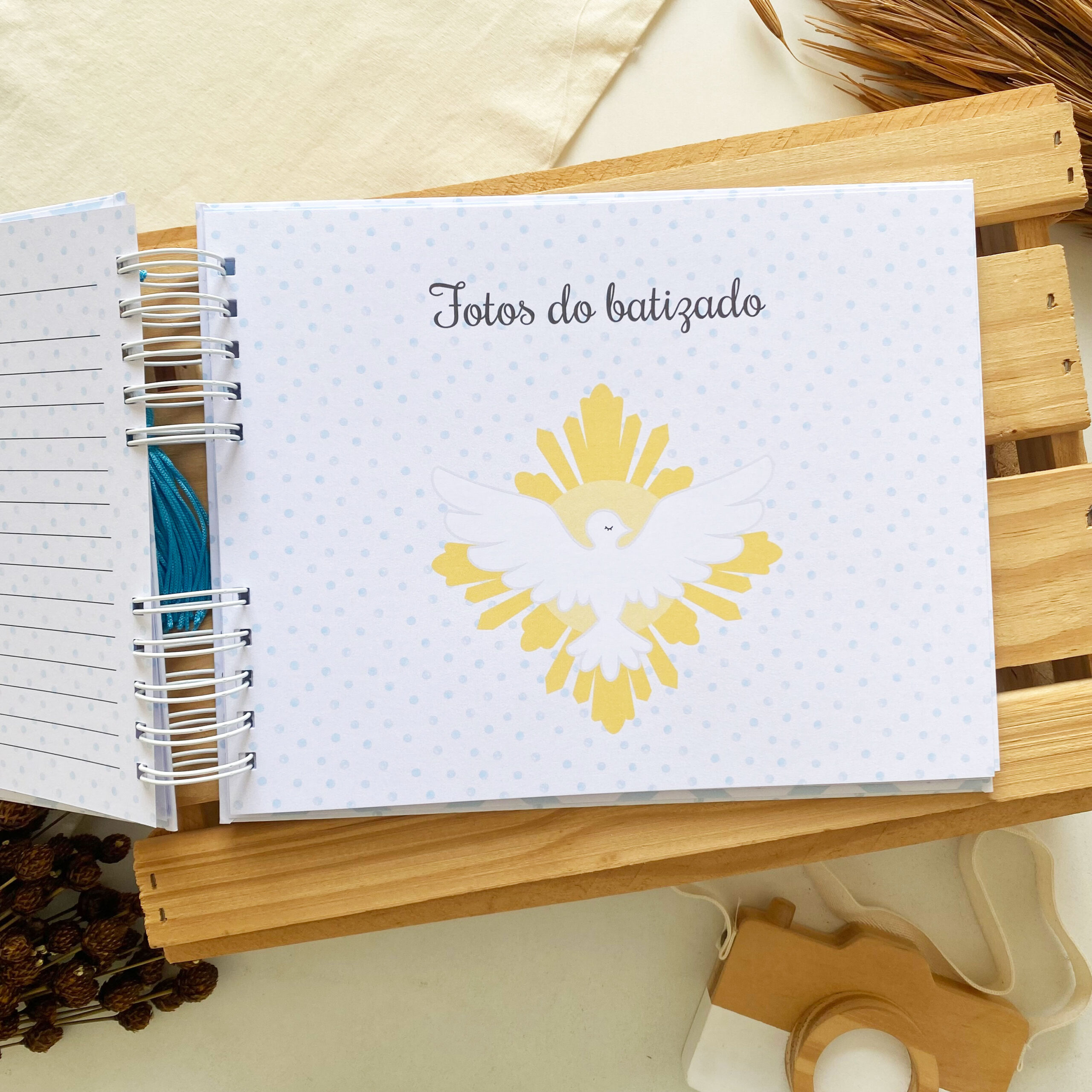 album_de_batizado_espirito_santo (6)