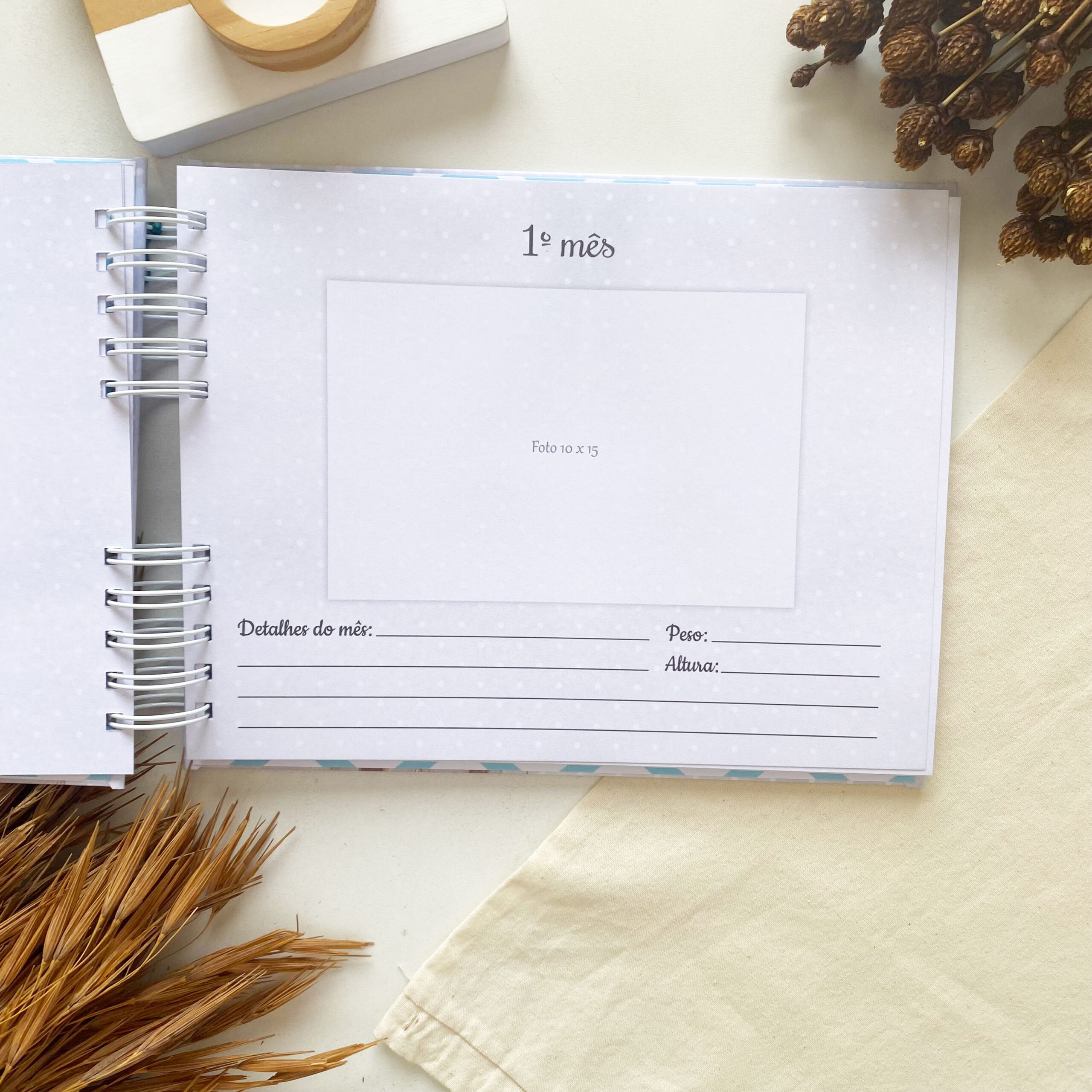 album_de_mesversario_ursinho_5 (7)