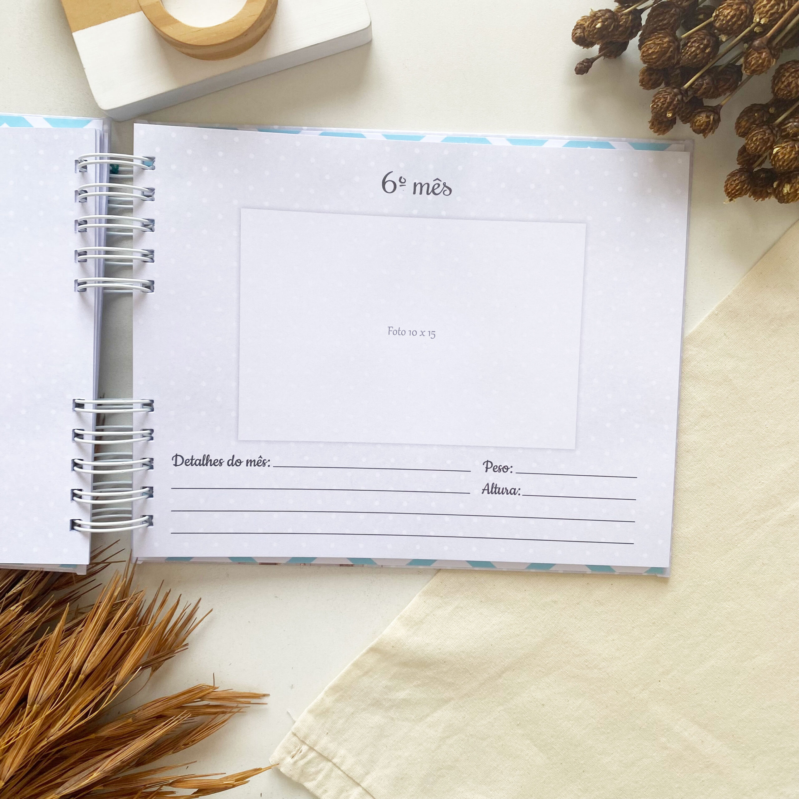 album_de_mesversario_ursinho_5 (8)