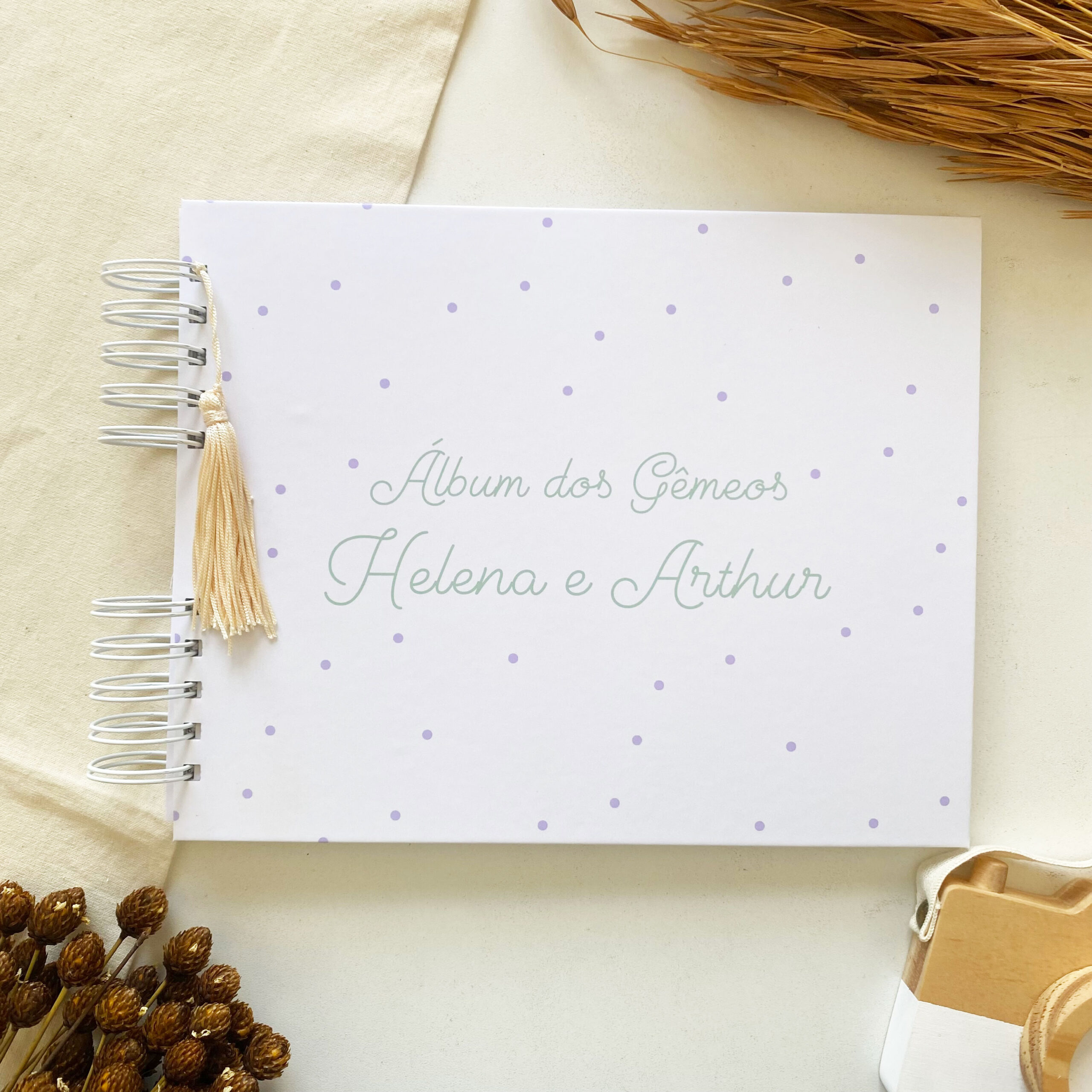 album_fotos_minimalista_poa_verde_lilas_gemeos (1)