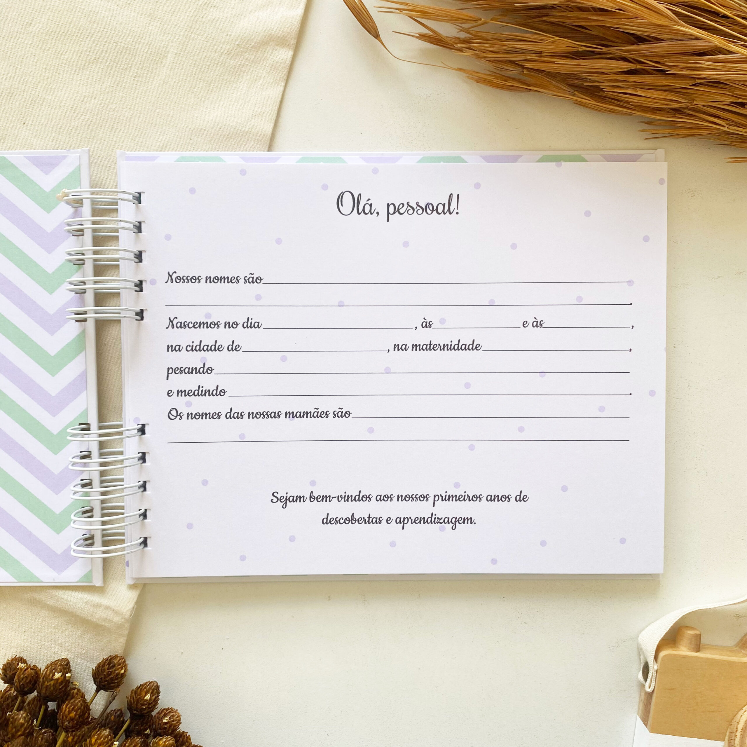 album_fotos_minimalista_poa_verde_lilas_gemeos (3)