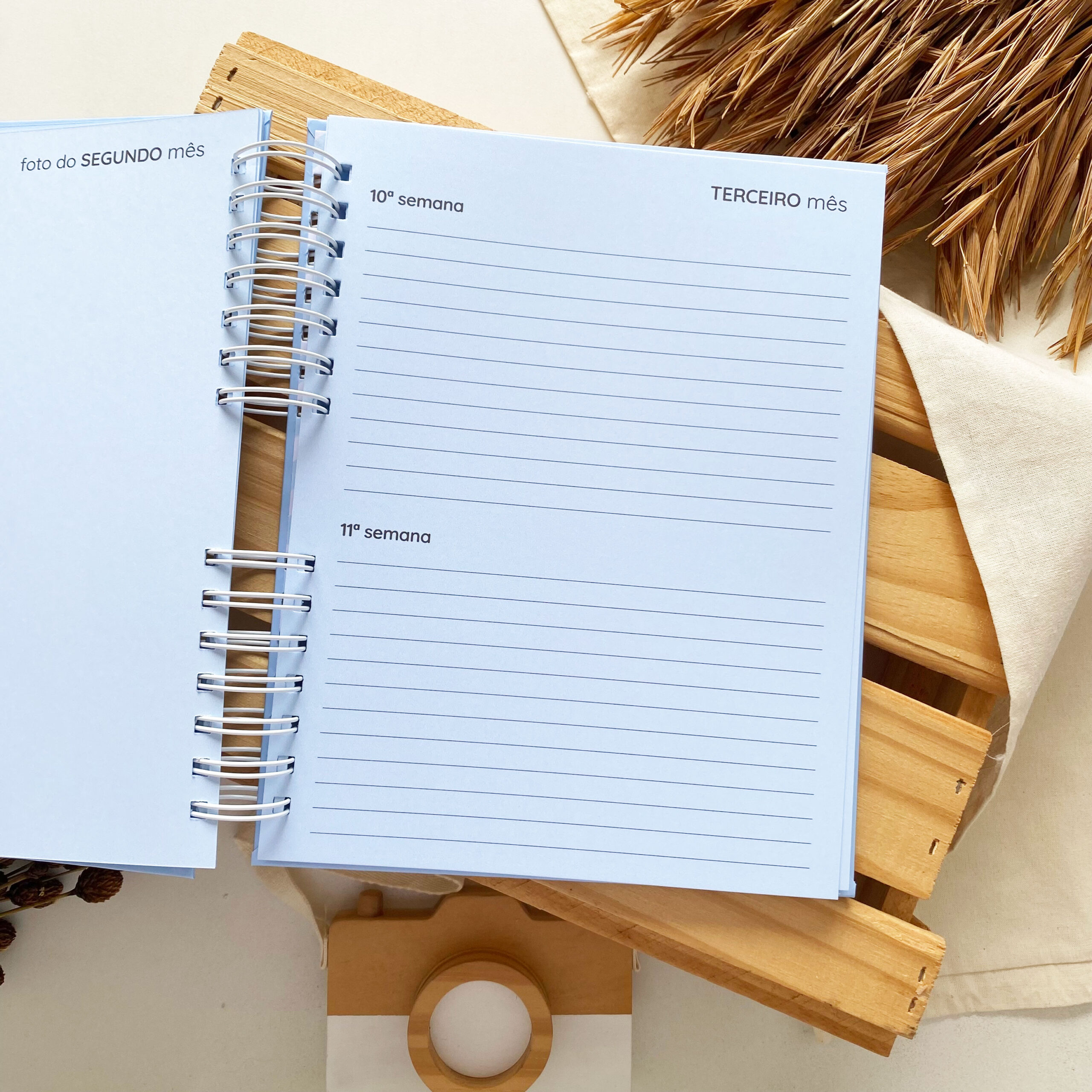 diario_da_gestante_minimalista_azul (10)