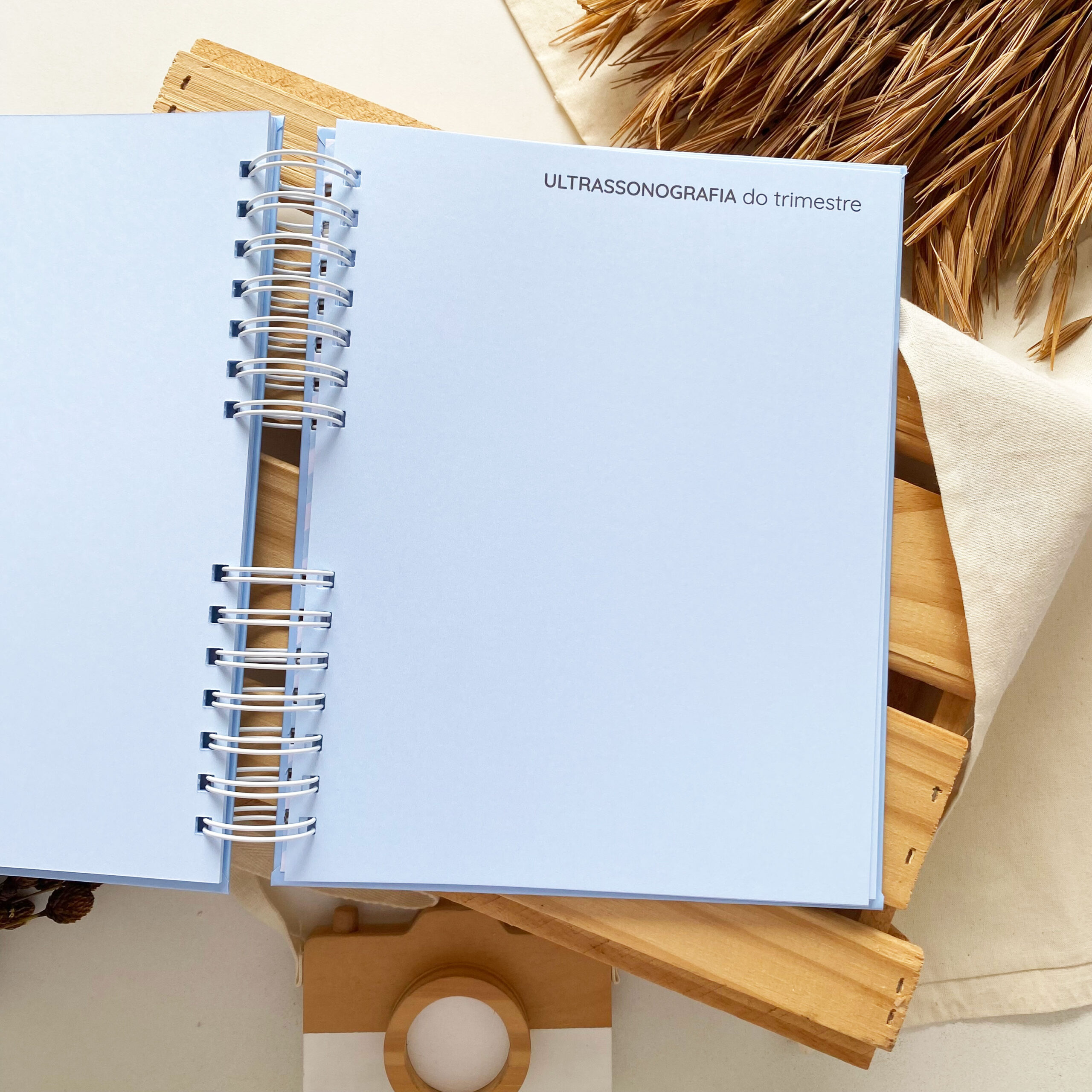 diario_da_gestante_minimalista_azul (11)