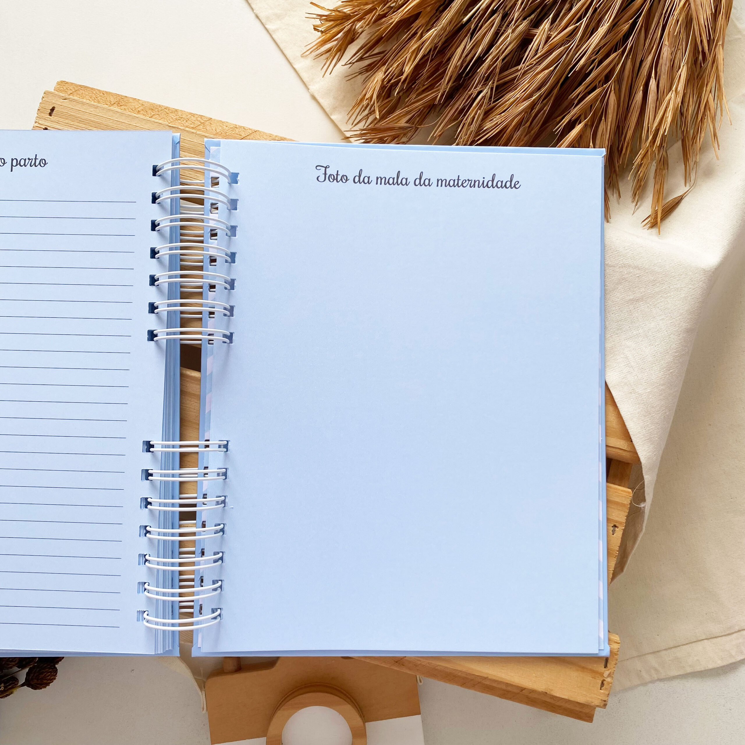diario_da_gestante_minimalista_azul (14)