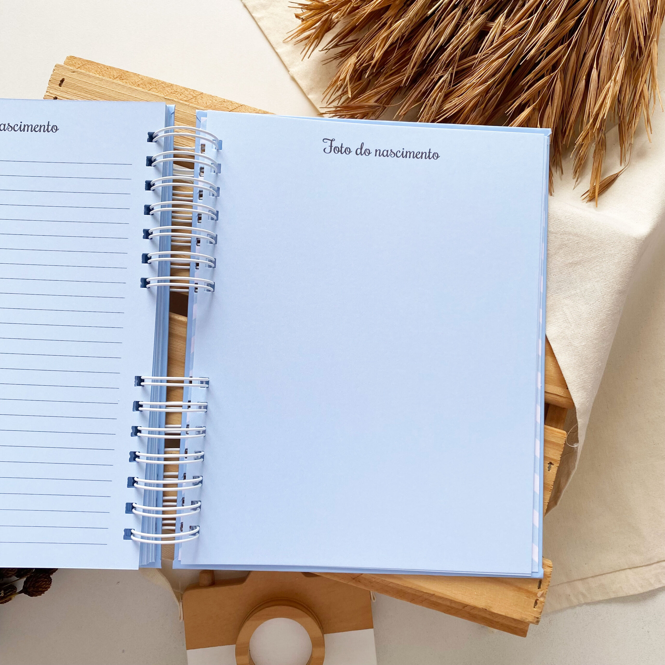 diario_da_gestante_minimalista_azul (15)