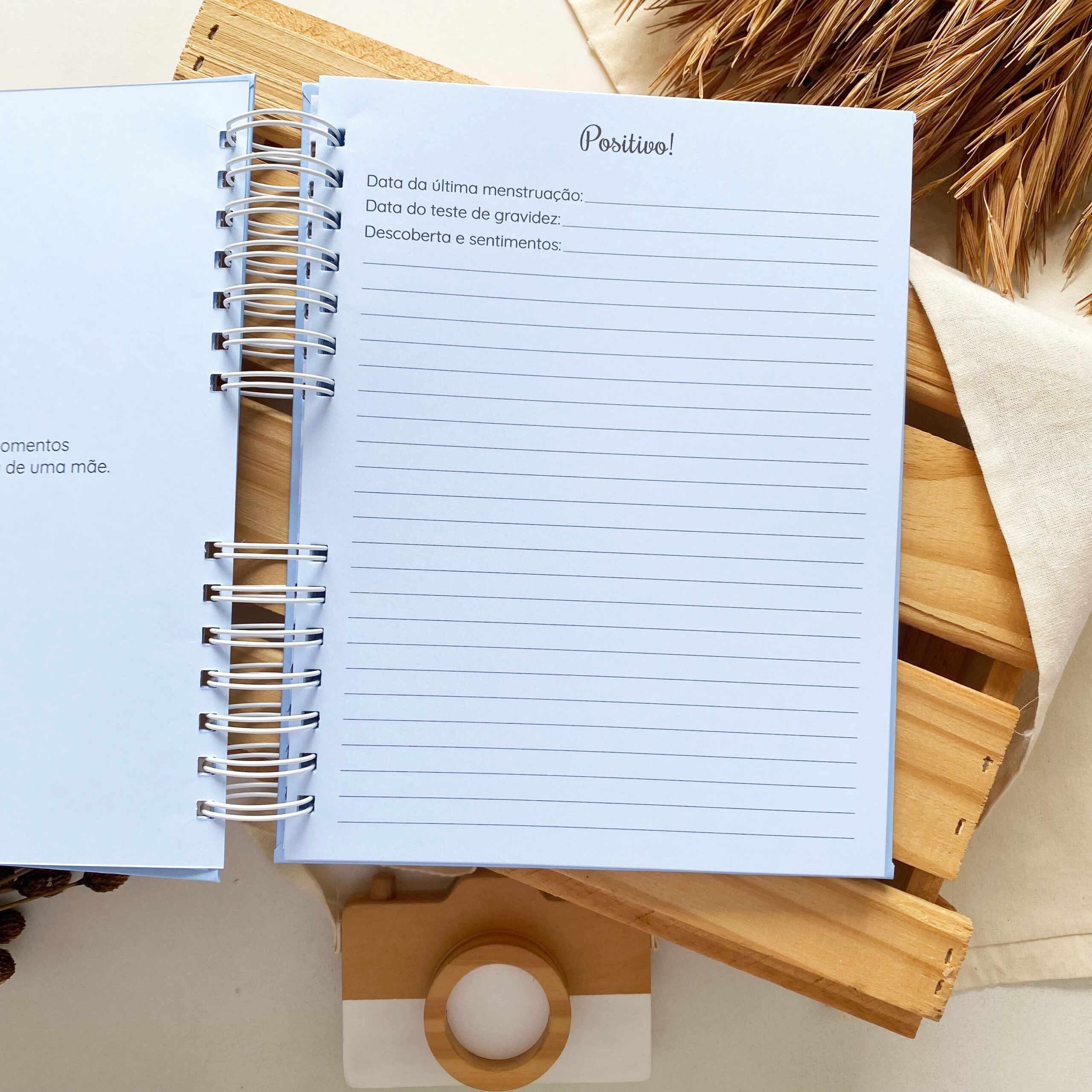 diario_da_gestante_minimalista_azul (4)