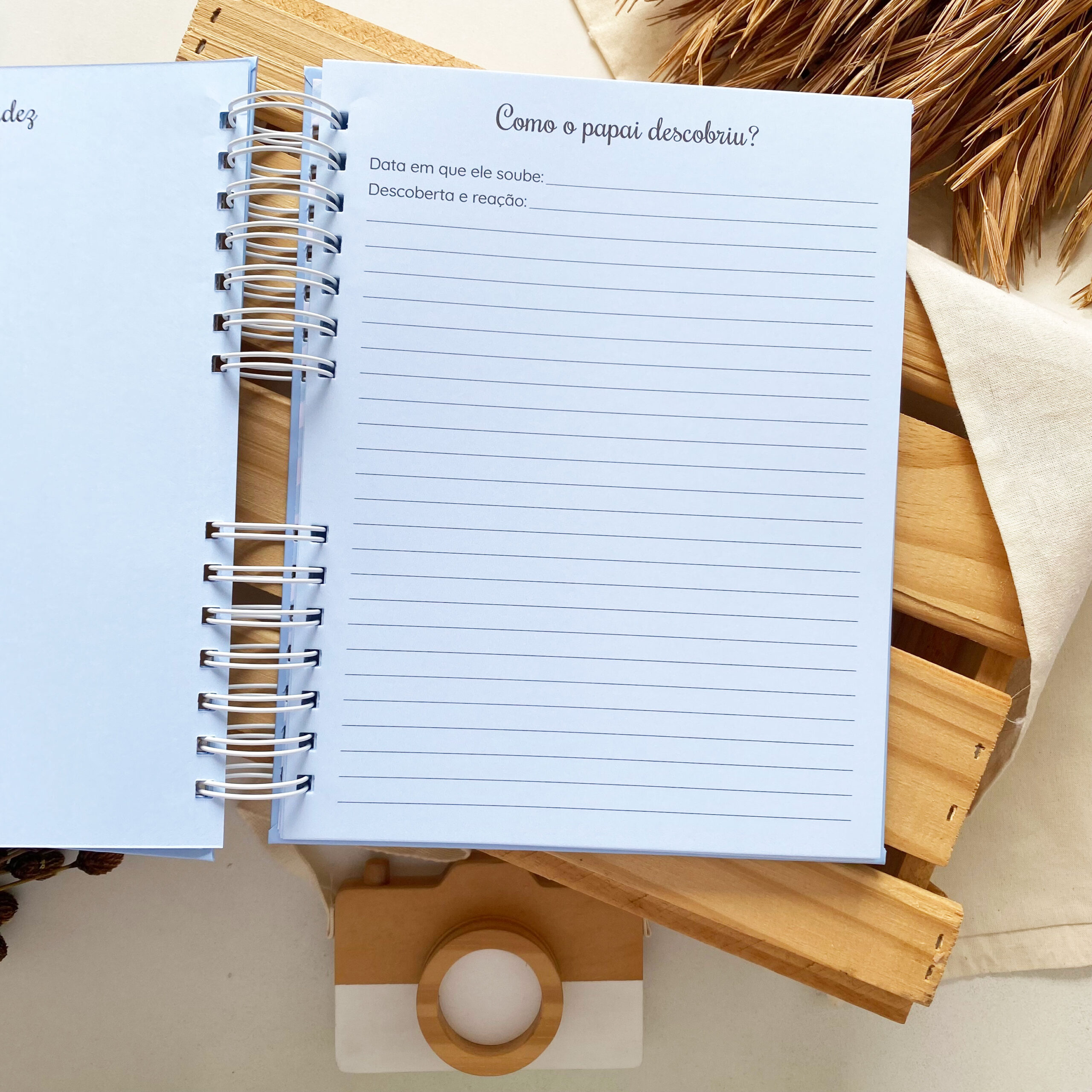 diario_da_gestante_minimalista_azul (5)