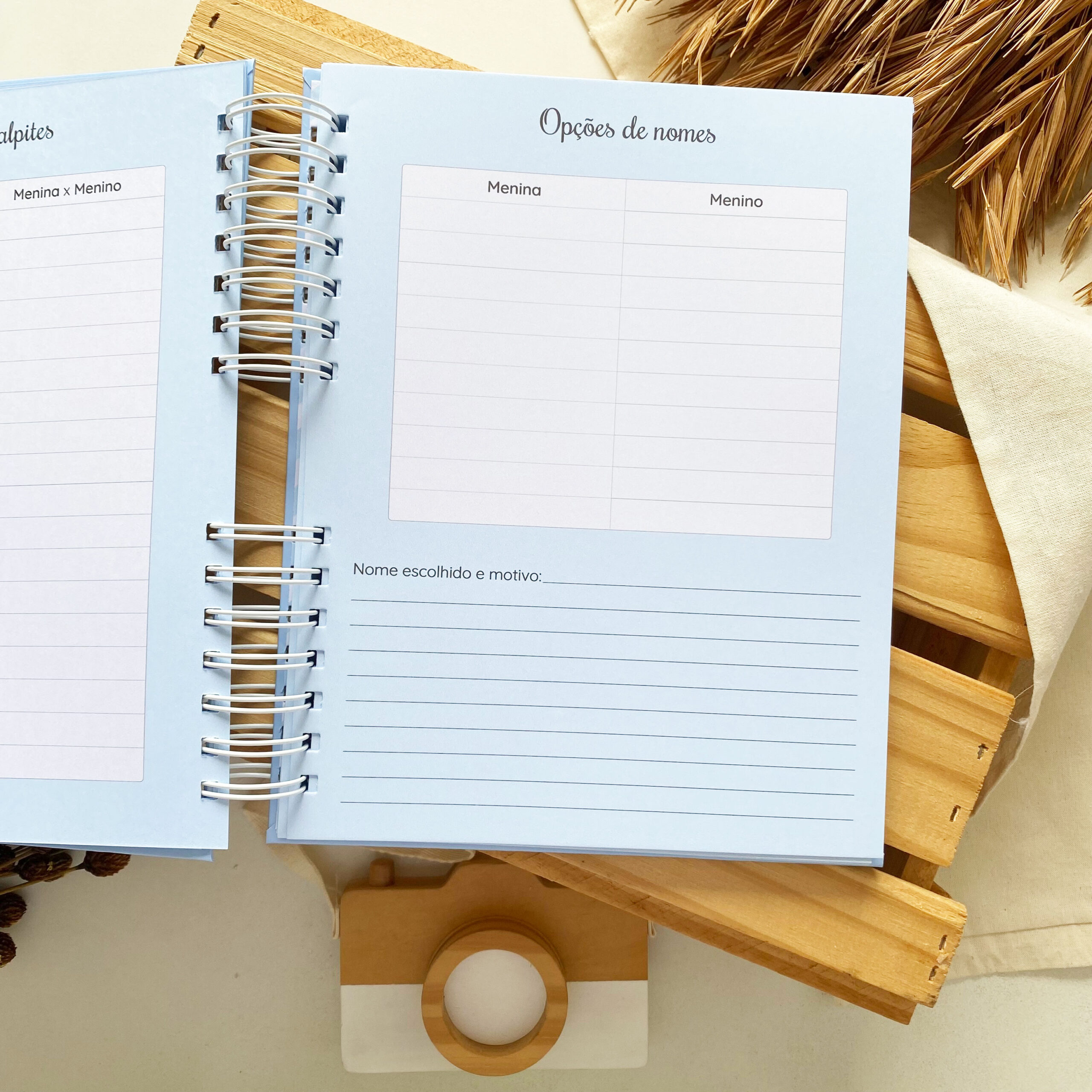 diario_da_gestante_minimalista_azul (6)