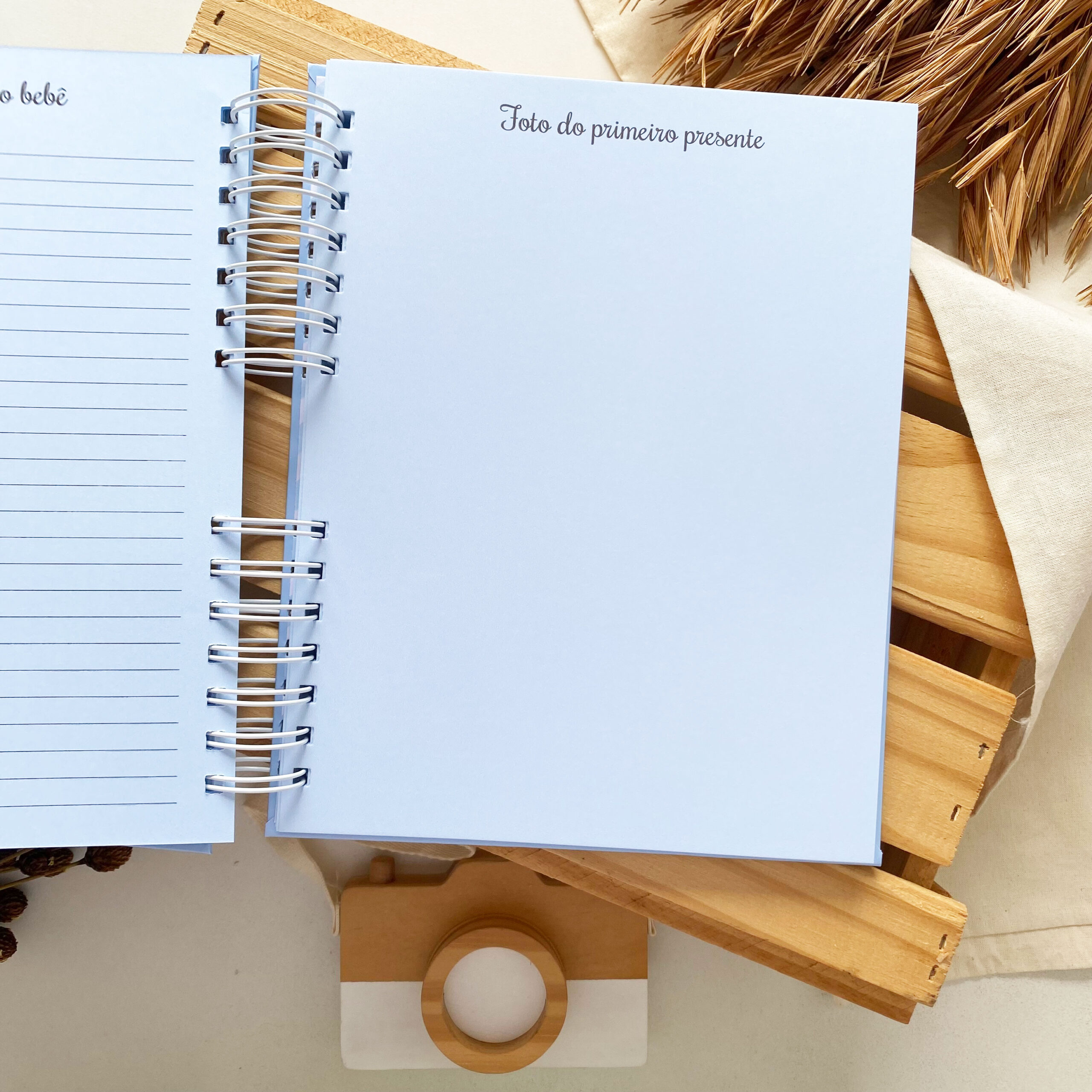 diario_da_gestante_minimalista_azul (7)