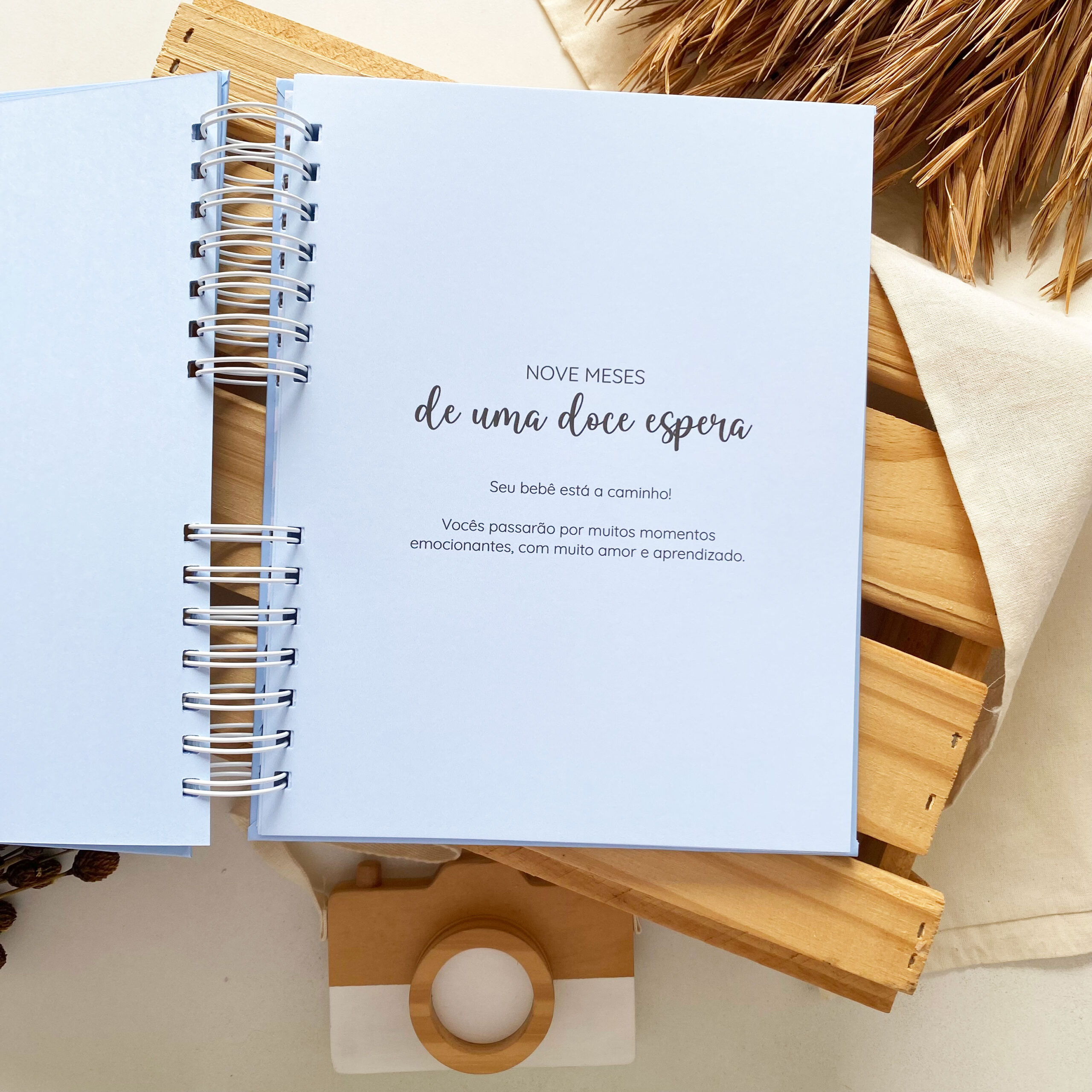 diario_da_gestante_minimalista_azul (8)
