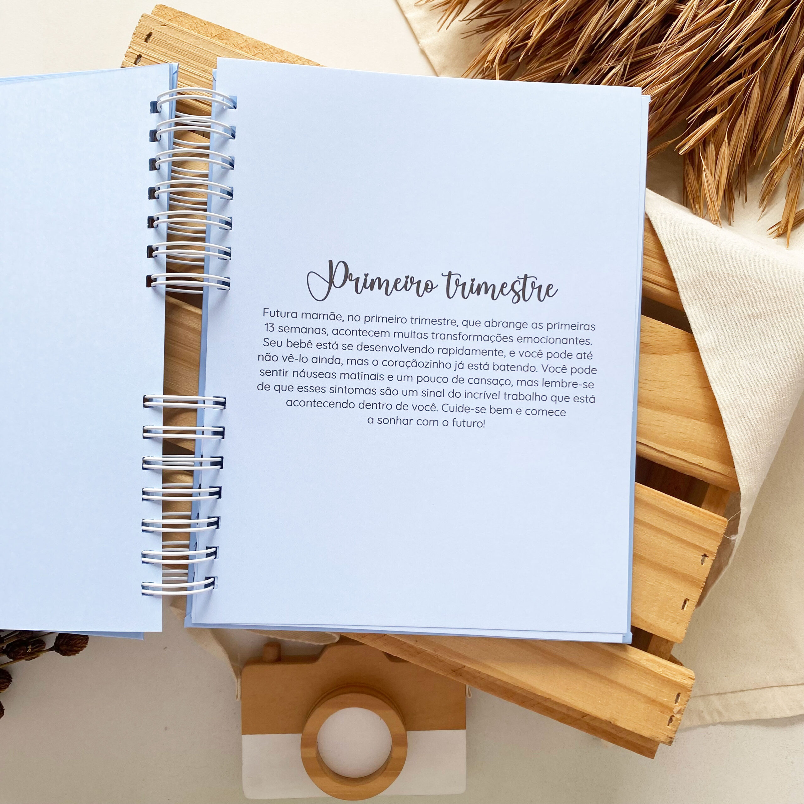 diario_da_gestante_minimalista_azul (9)