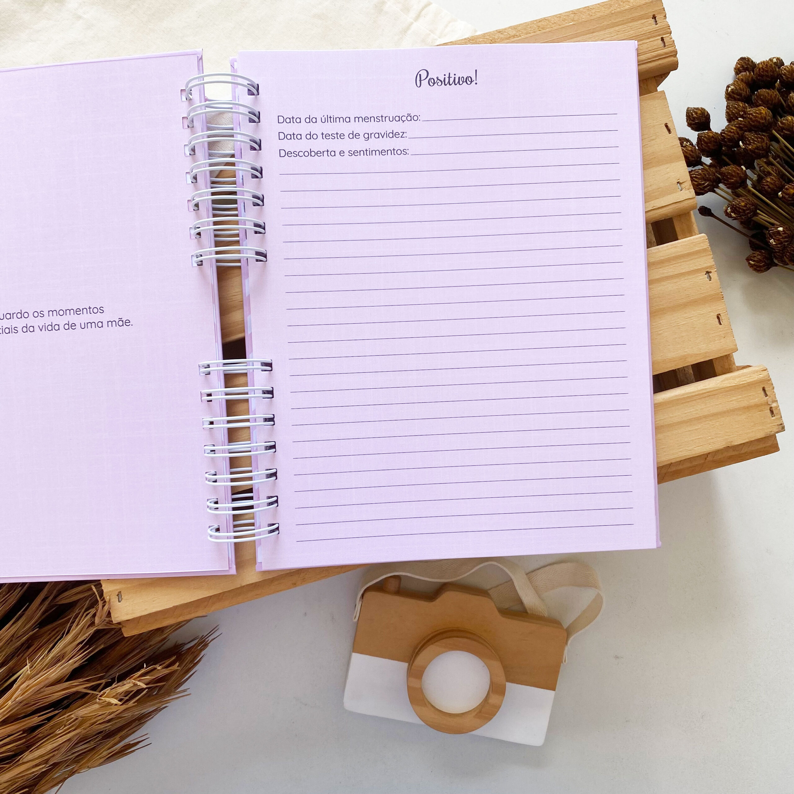 diario_da_gestante_minimalista_linho_rosa (4)