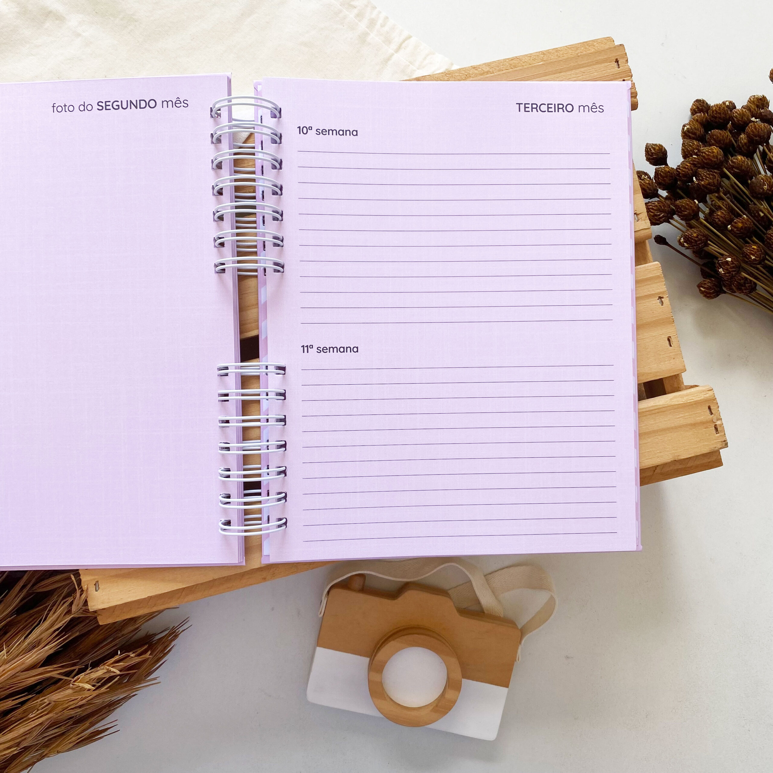 diario_da_gestante_minimalista_linho_rosa (8)