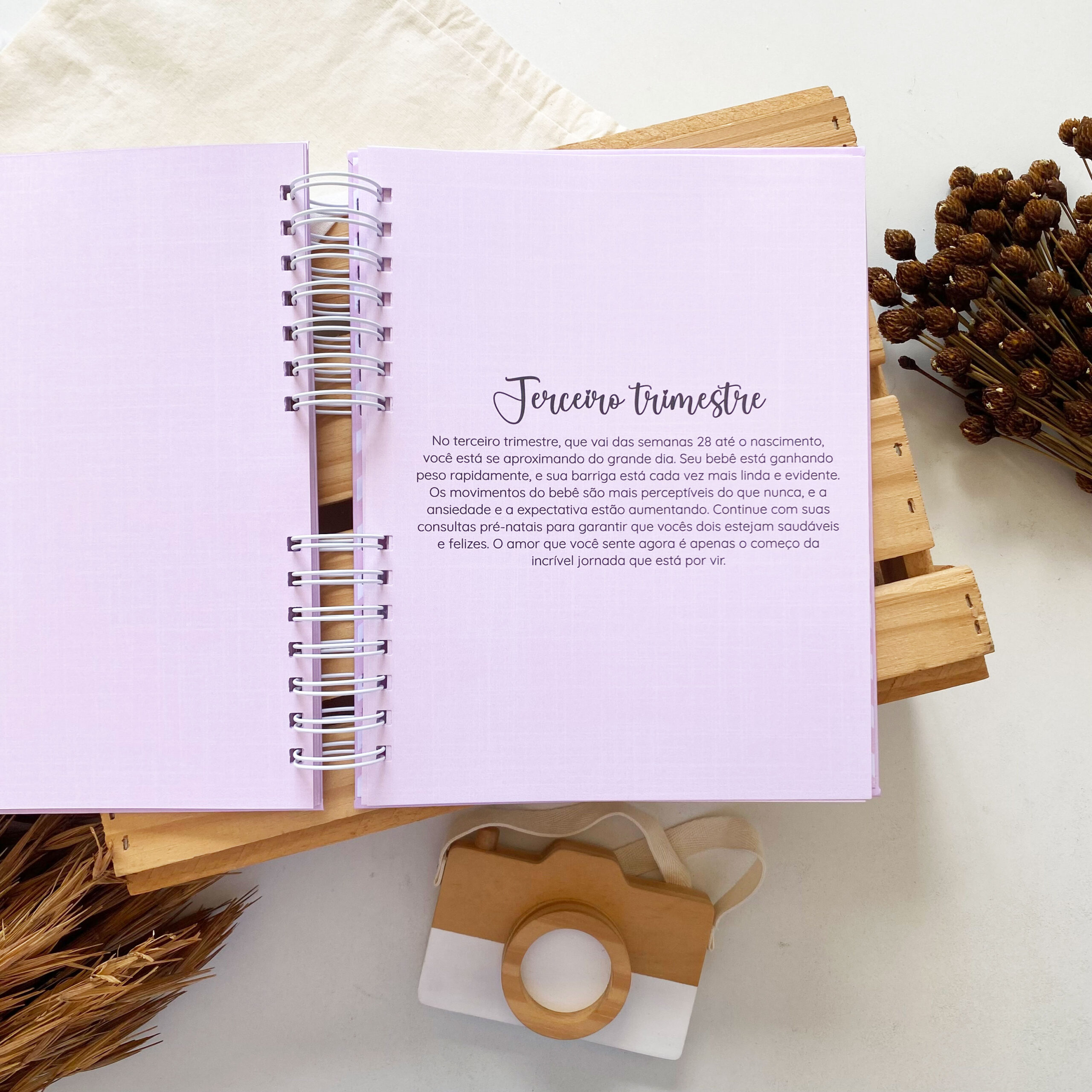 diario_da_gestante_minimalista_linho_rosa (9)