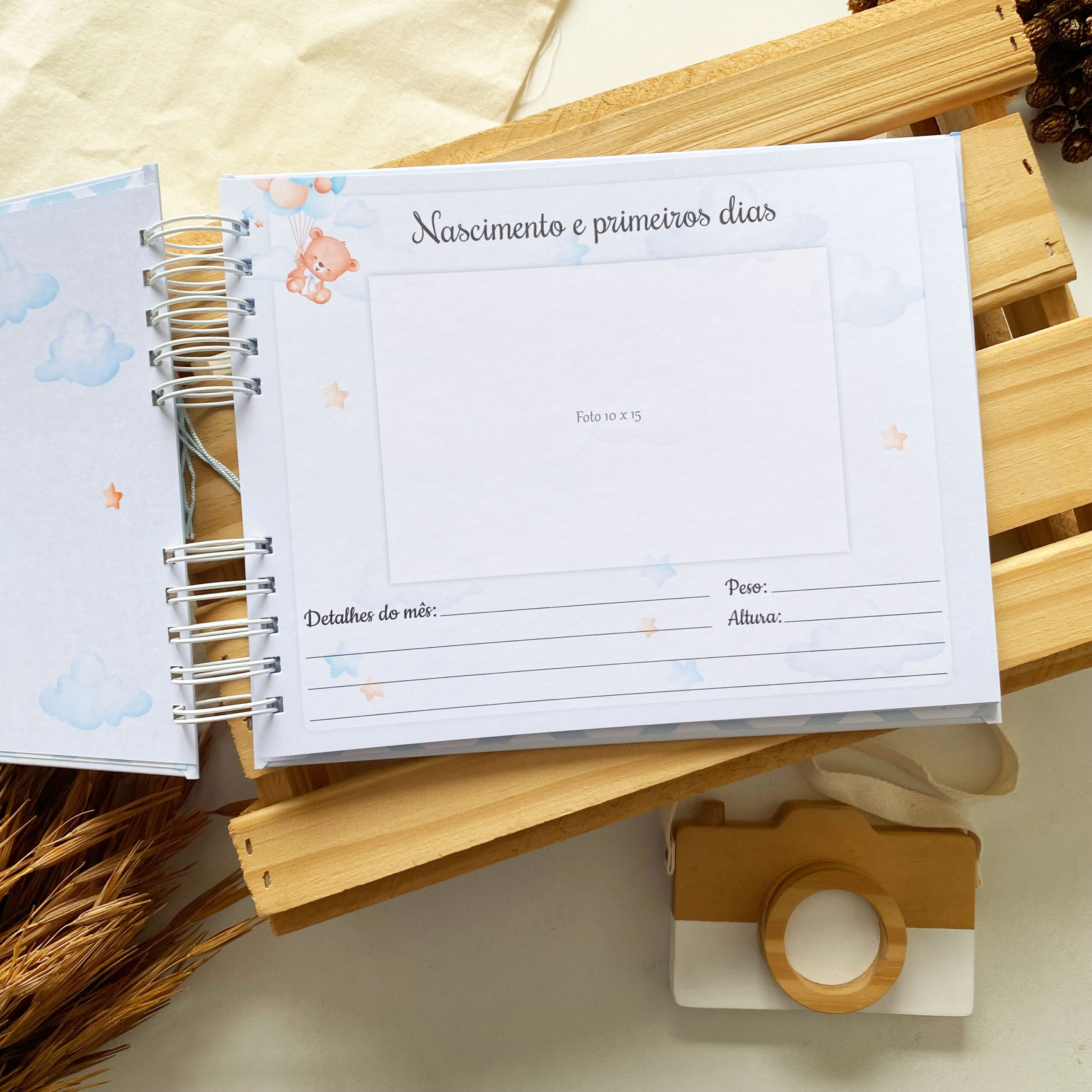 album_de_mesversario_ursinho_com_balao (4)