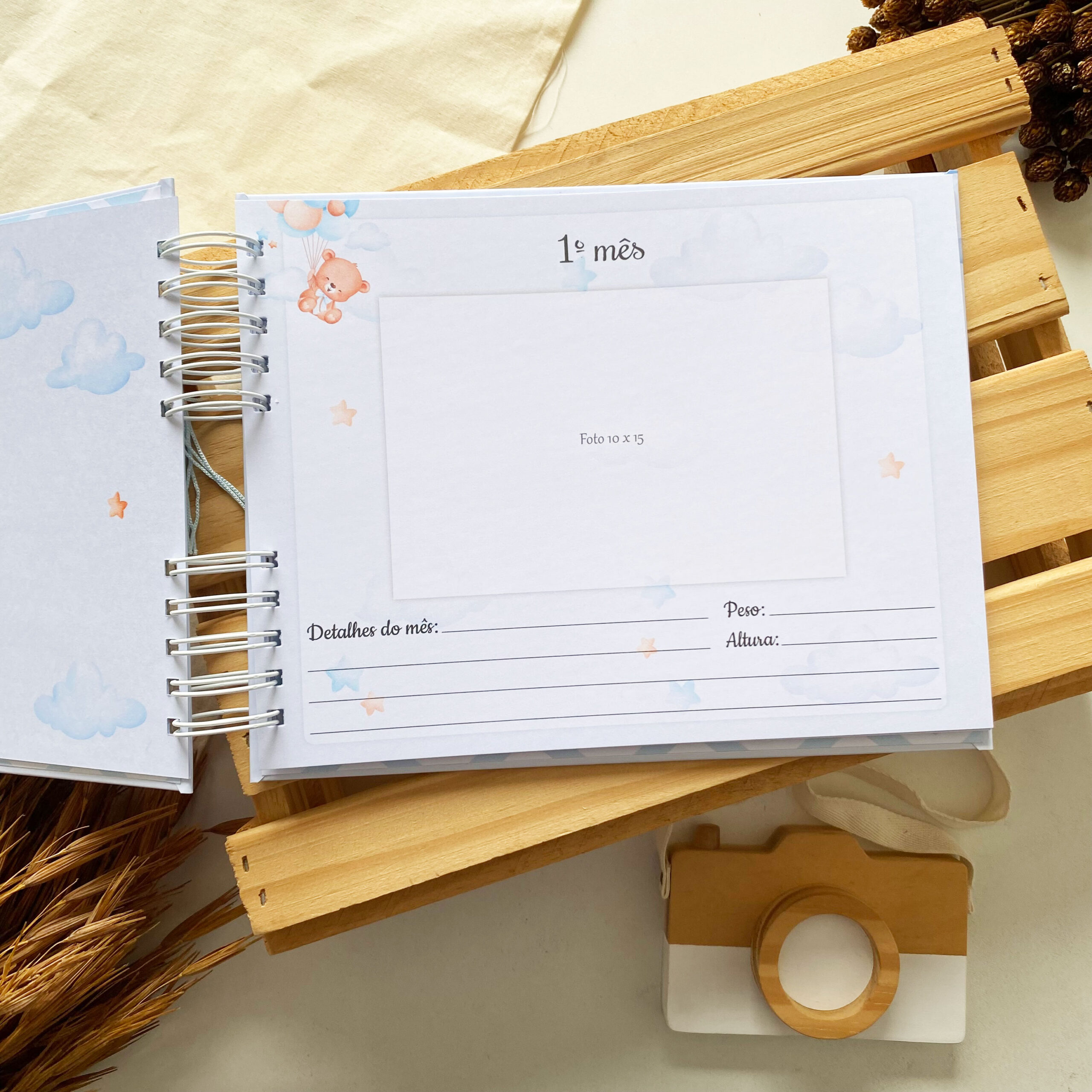 album_de_mesversario_ursinho_com_balao (6)