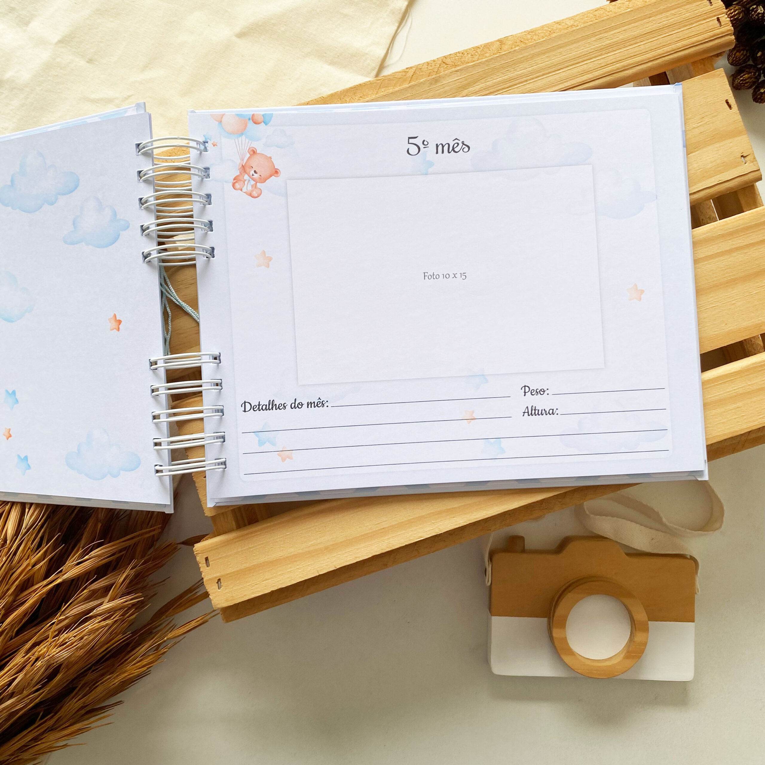 album_de_mesversario_ursinho_com_balao (7)