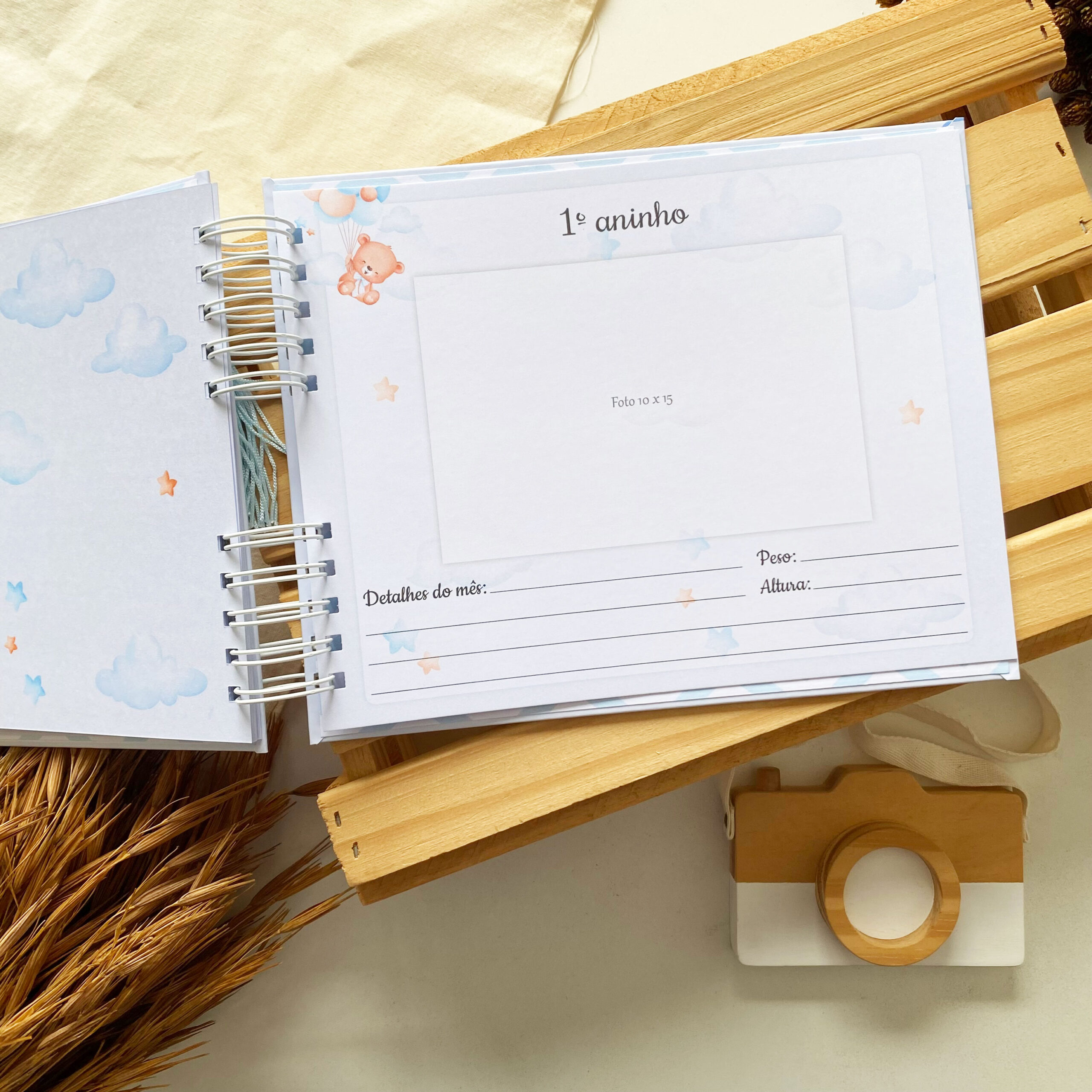 album_de_mesversario_ursinho_com_balao (8)