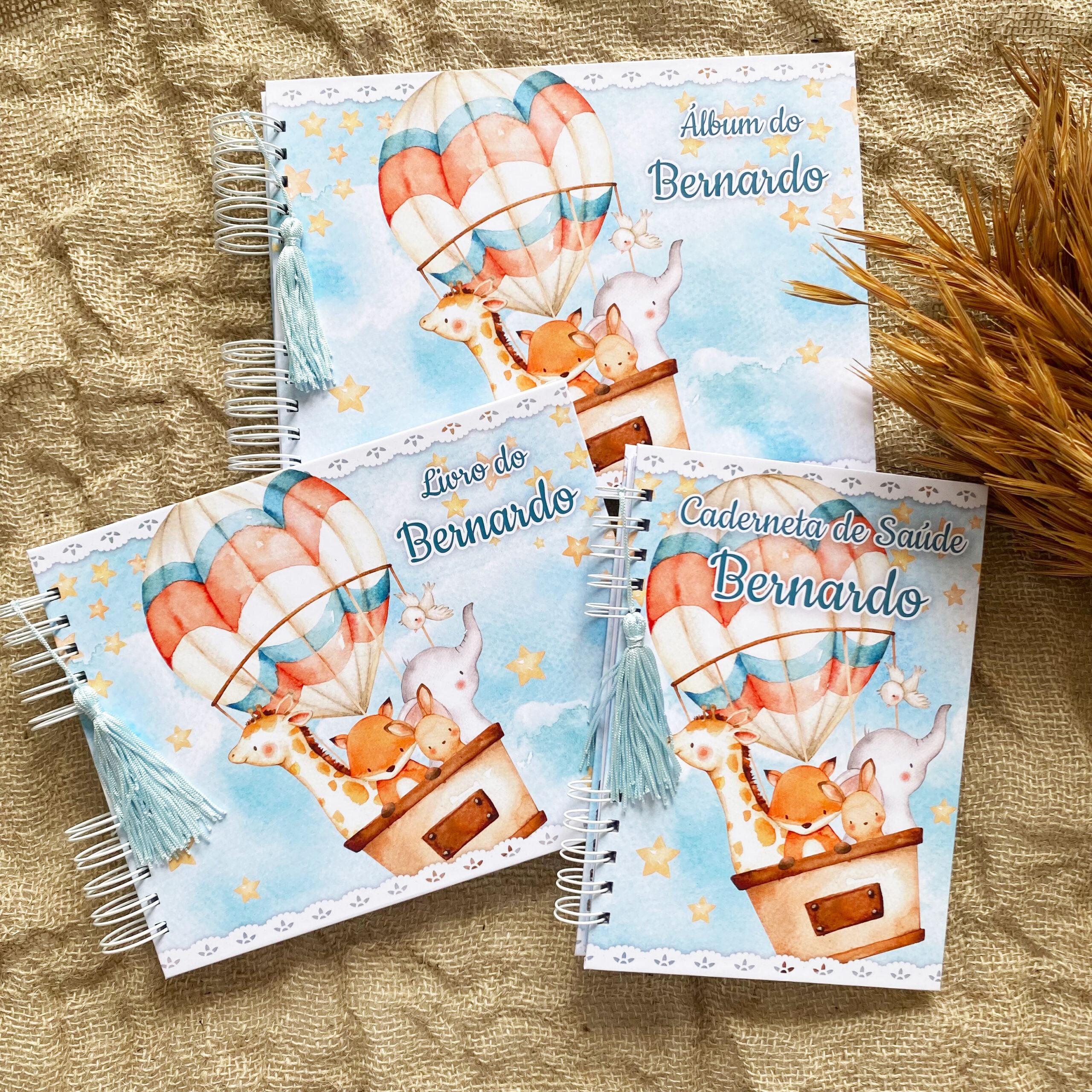 kit_livro_album_caderneta_bichinhos_baloeiros_1
