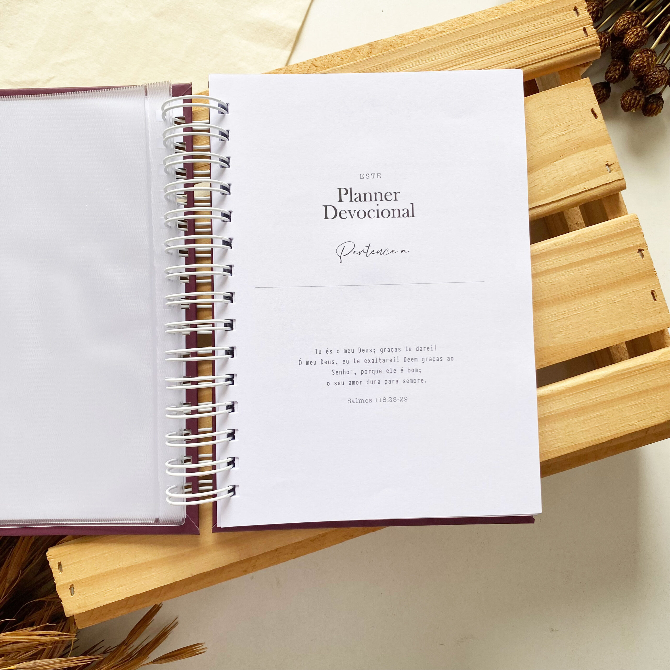 planner_devocional_2_minimalista_meu_tempo_com_deus (4)