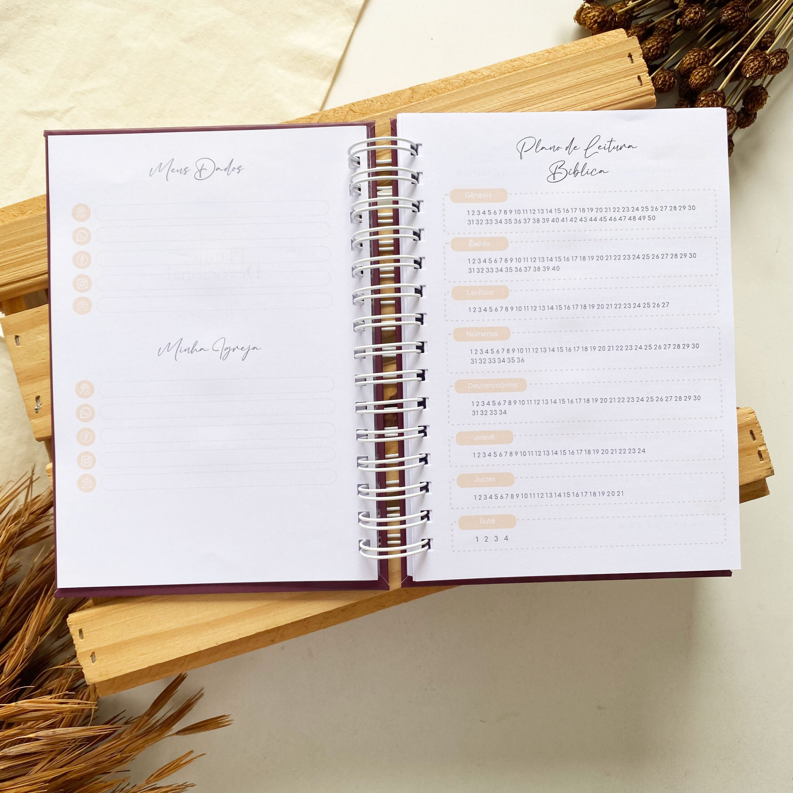 planner_devocional_2_minimalista_meu_tempo_com_deus (5)